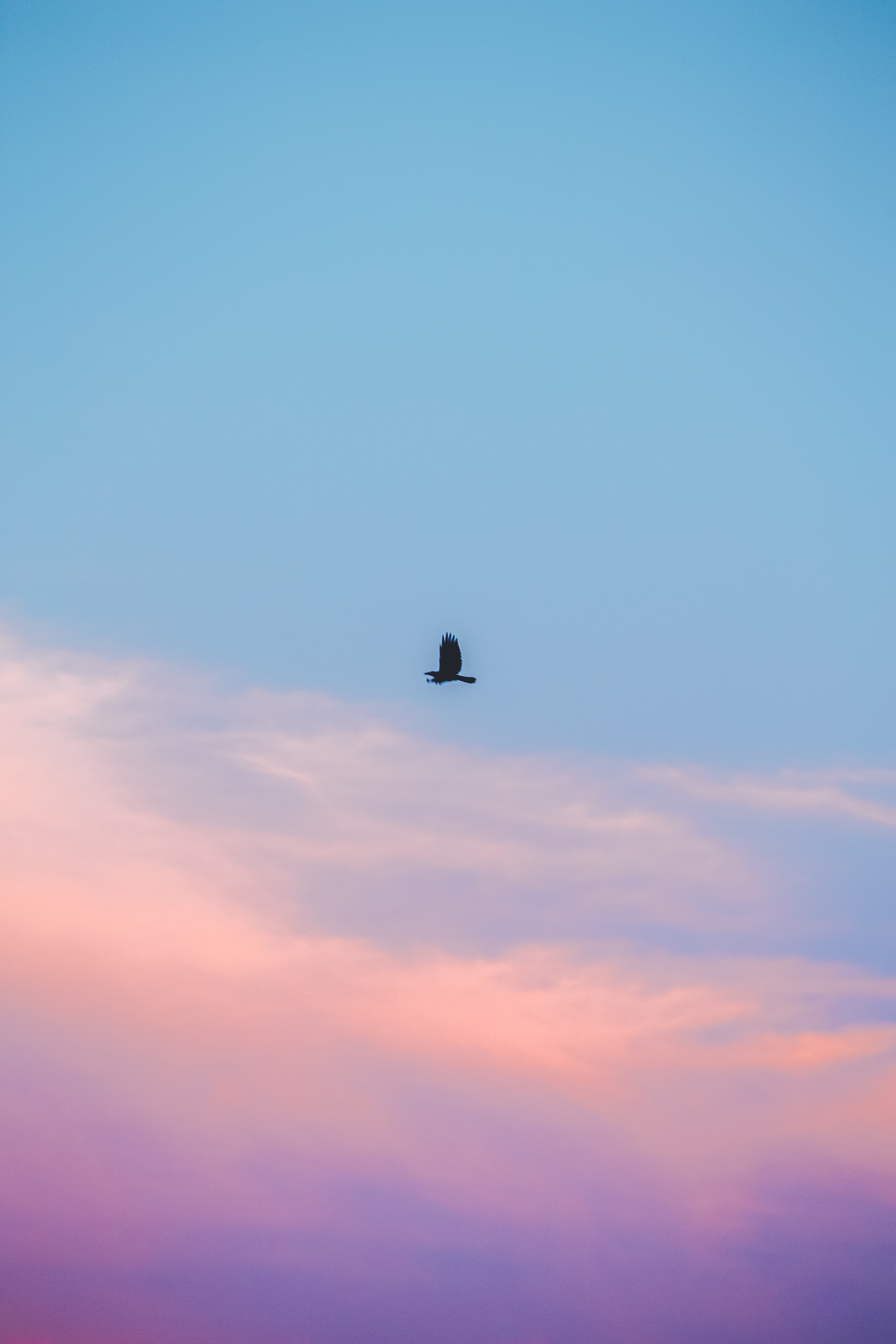 Download mobile wallpaper Clouds, Sky, Bird, Minimalism for free.