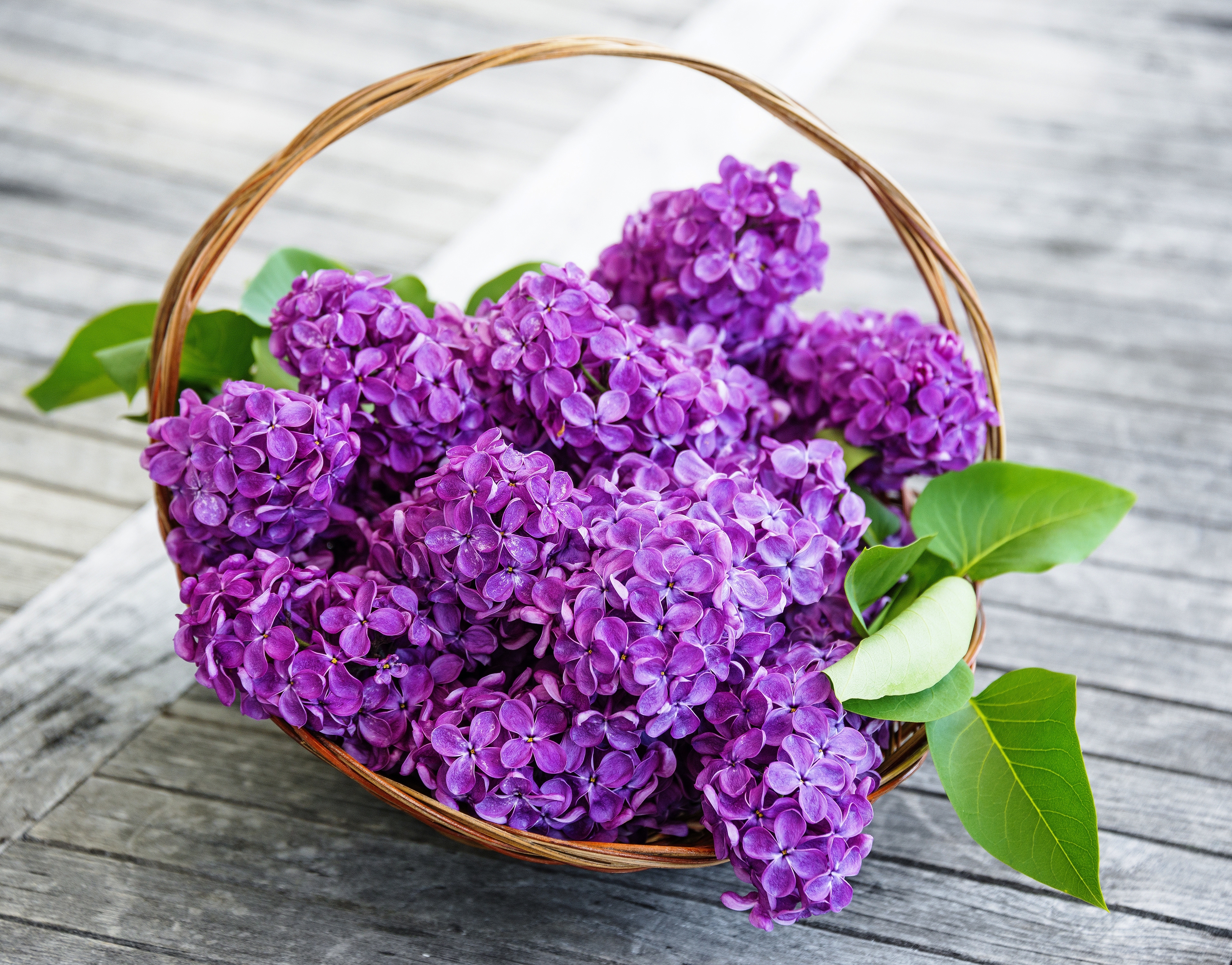 Download mobile wallpaper Lilac, Flower, Basket, Purple Flower, Man Made for free.