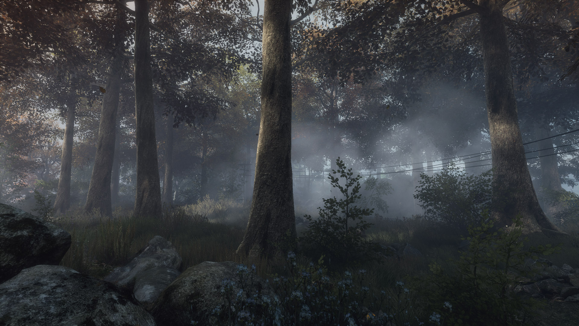 659428 descargar fondo de pantalla videojuego, the vanishing of ethan carter: protectores de pantalla e imágenes gratis