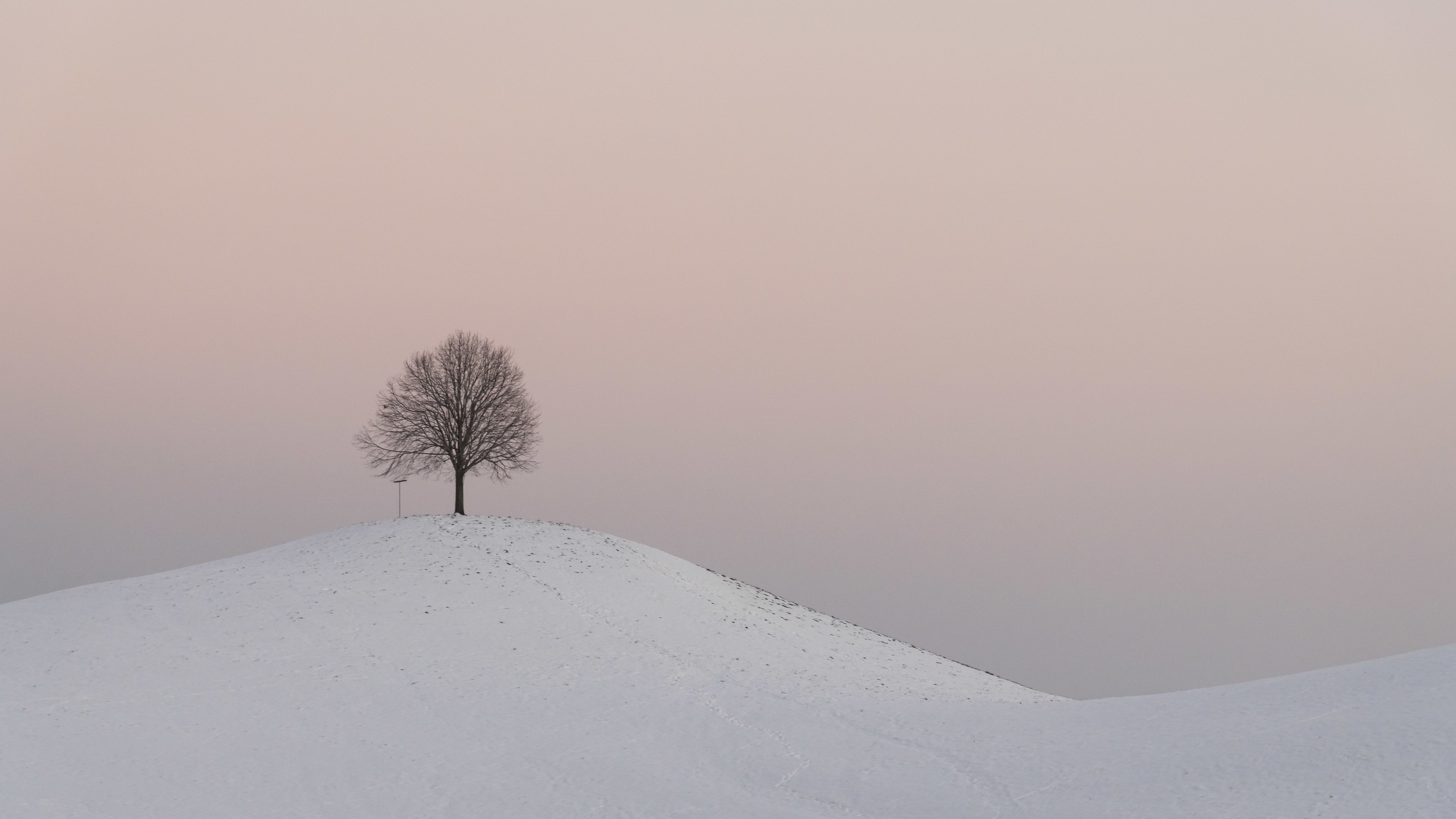 nature, wood, snow, winter, twilight, tree, dusk, hill 1080p