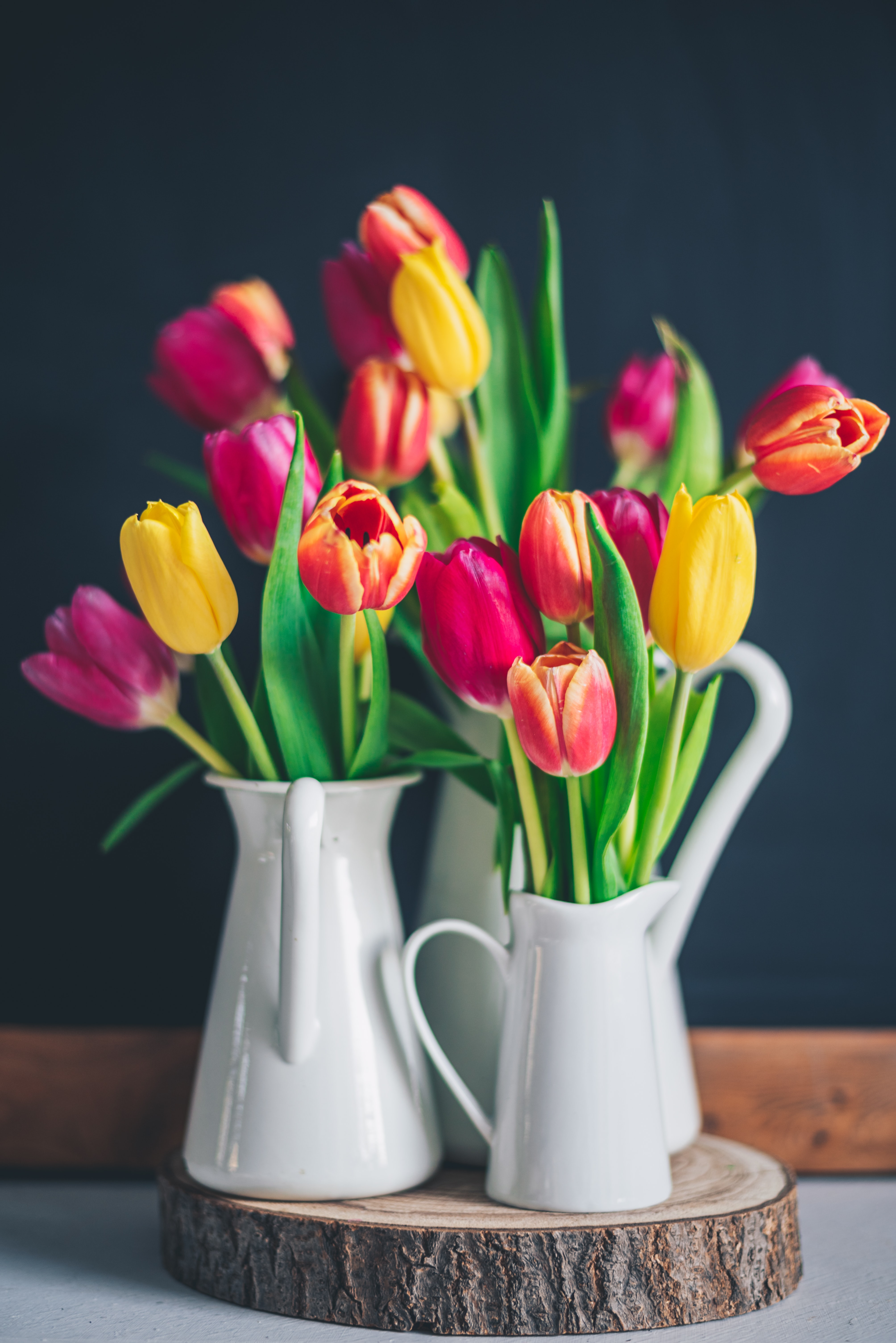 tulips, multicolored, flowers, motley, bouquet