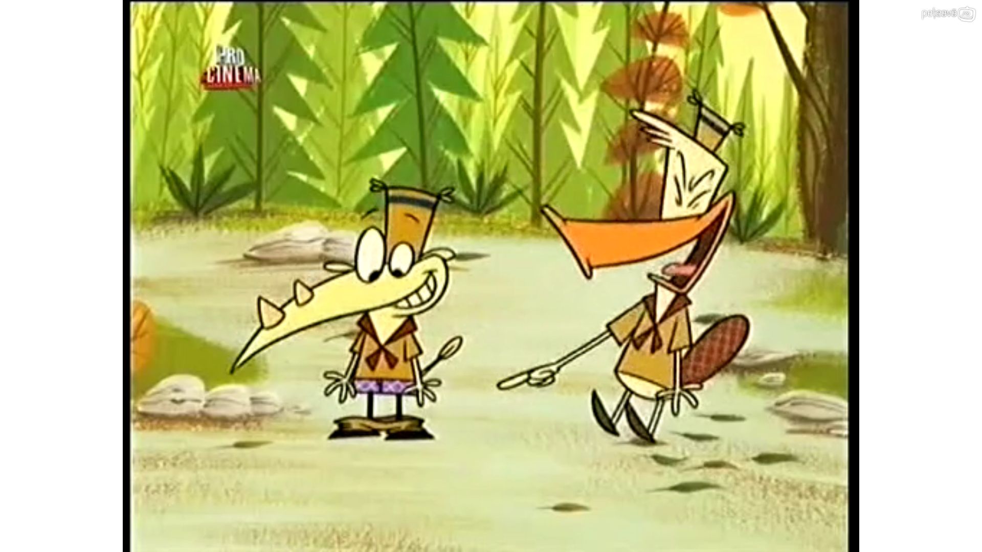 tv show, camp lazlo