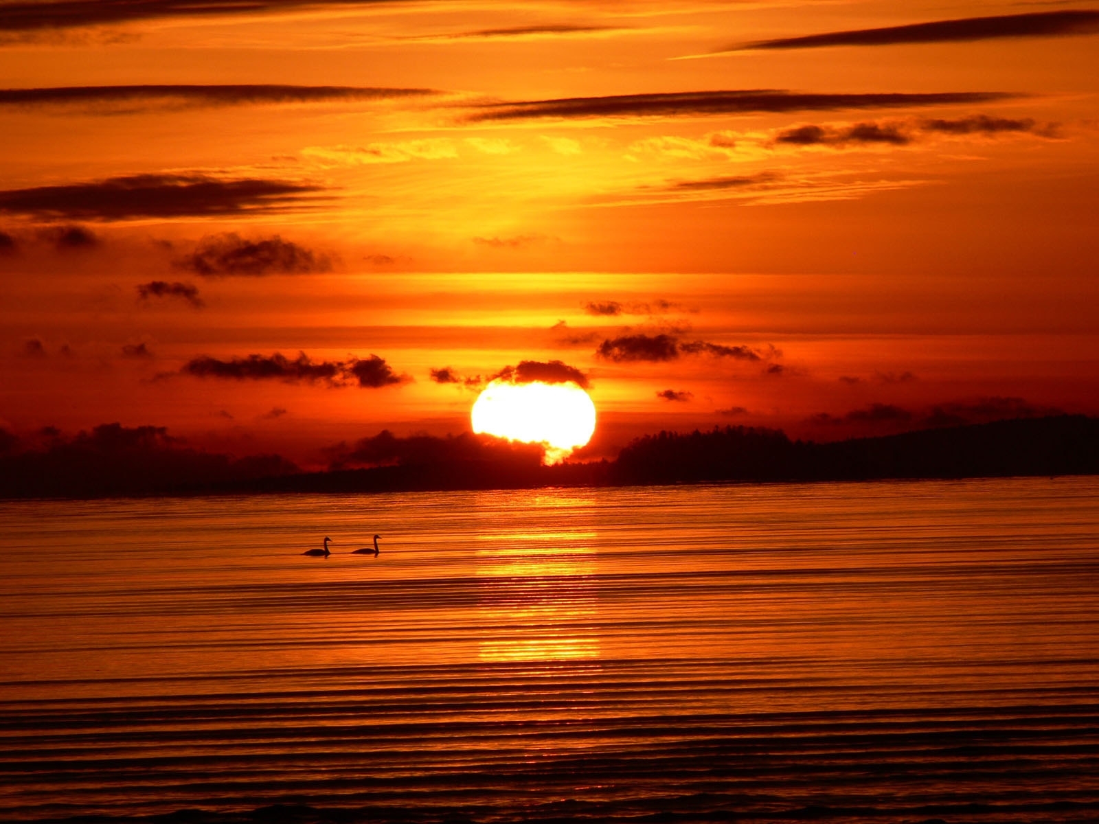 PCデスクトップに日没, サン, 風景, オレンジ, 海画像を無料でダウンロード