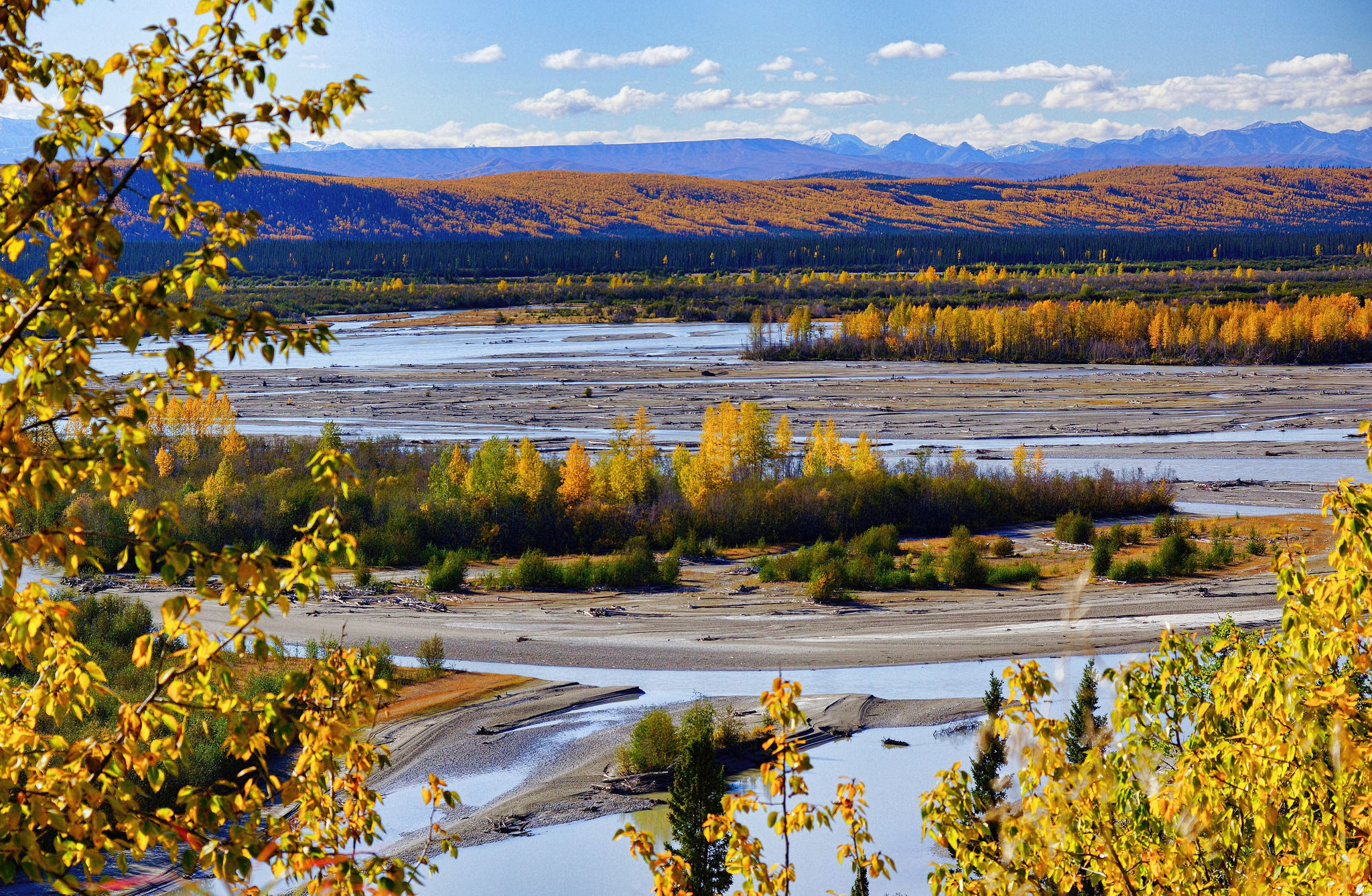 Handy-Wallpaper Landschaft, Herbst, Sand, Horizont, Wald, Fluss, Wolke, Alaska, Erde/natur kostenlos herunterladen.