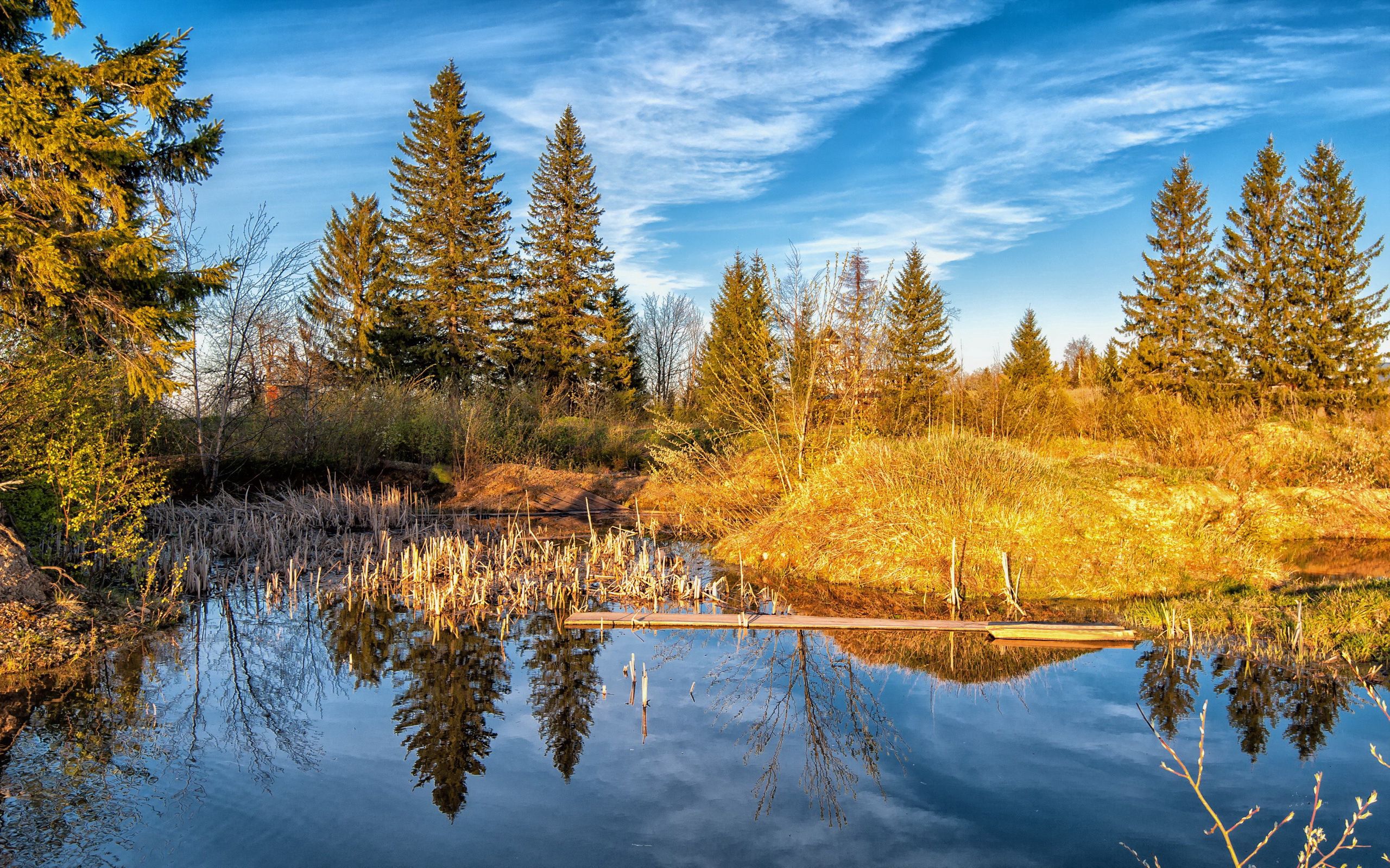Laden Sie das Herbst, Bäume, See, Wald, Natur-Bild kostenlos auf Ihren PC-Desktop herunter