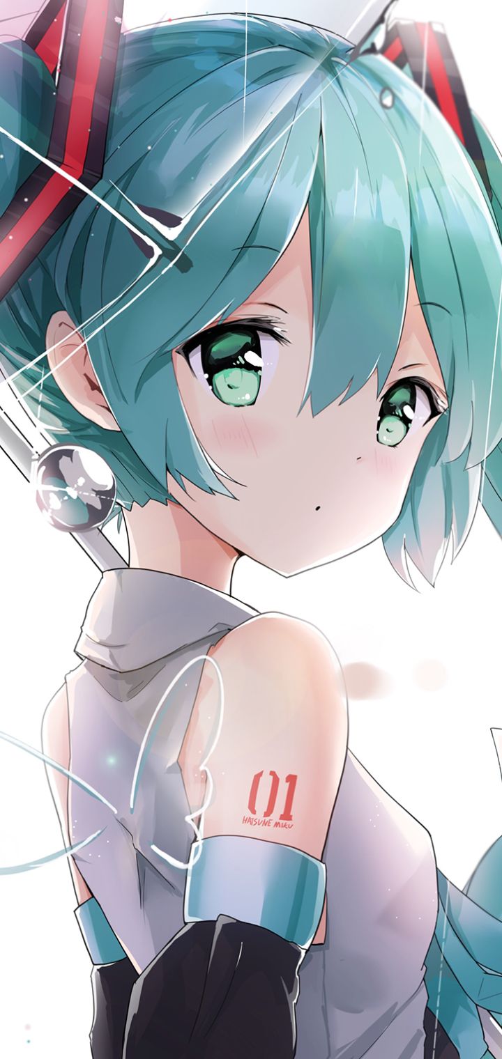 Download mobile wallpaper Anime, Vocaloid, Hatsune Miku for free.