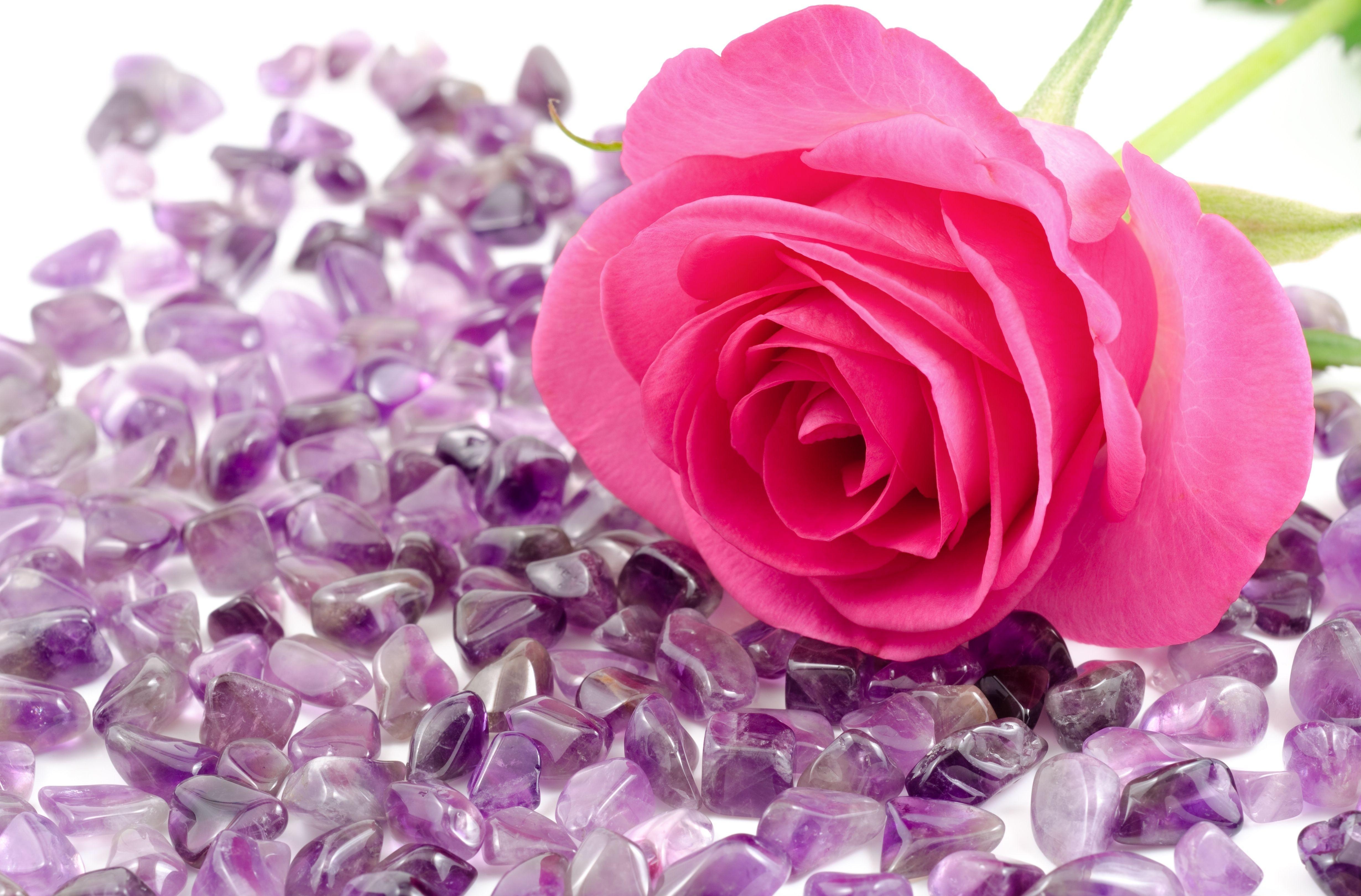 Free download wallpaper Flowers, Stones, Flower, Rose, Close Up, Rose Flower on your PC desktop