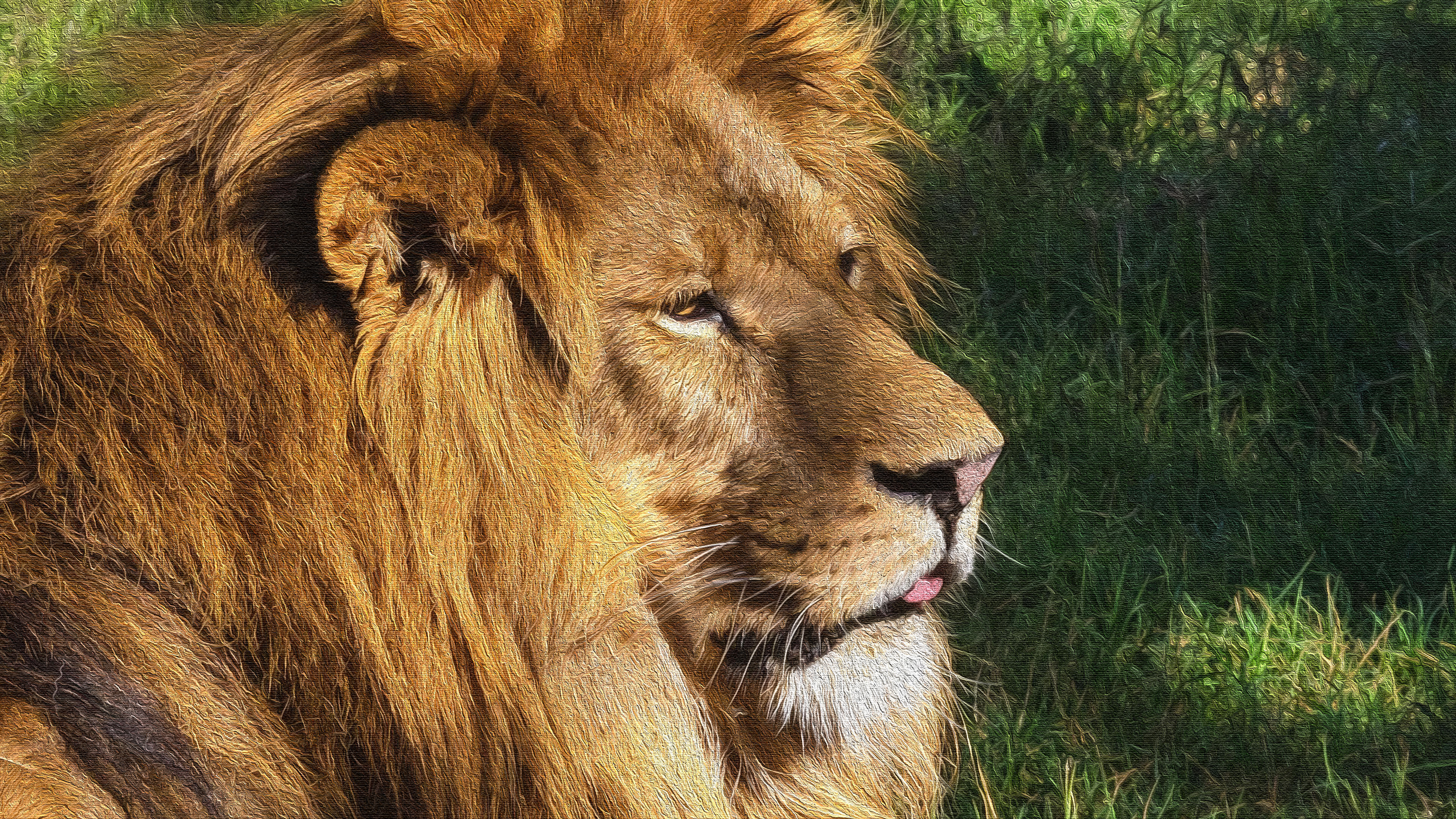 Téléchargez gratuitement l'image Animaux, Chats, Lion sur le bureau de votre PC