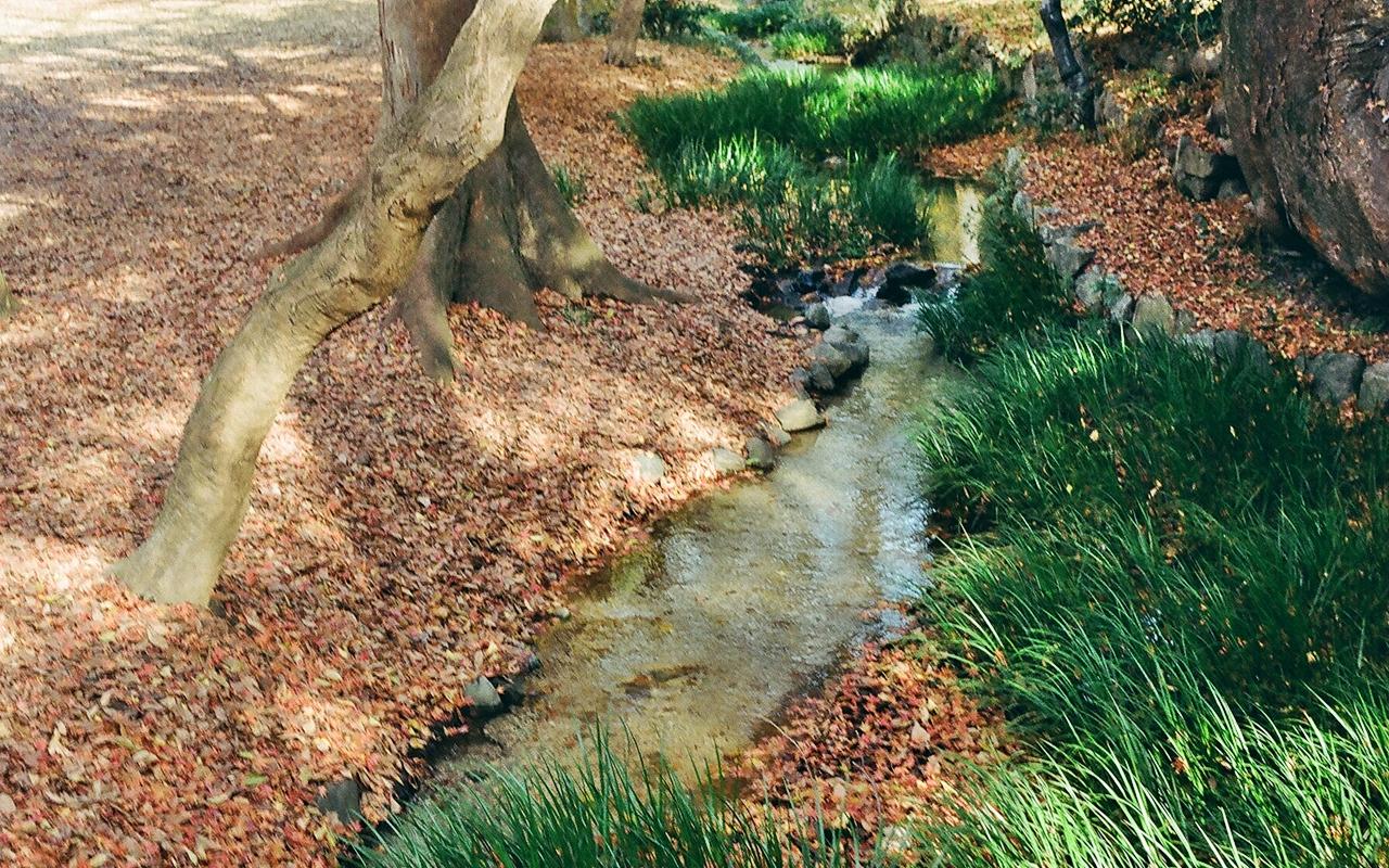 Descarga gratuita de fondo de pantalla para móvil de Chorro, Tierra/naturaleza.