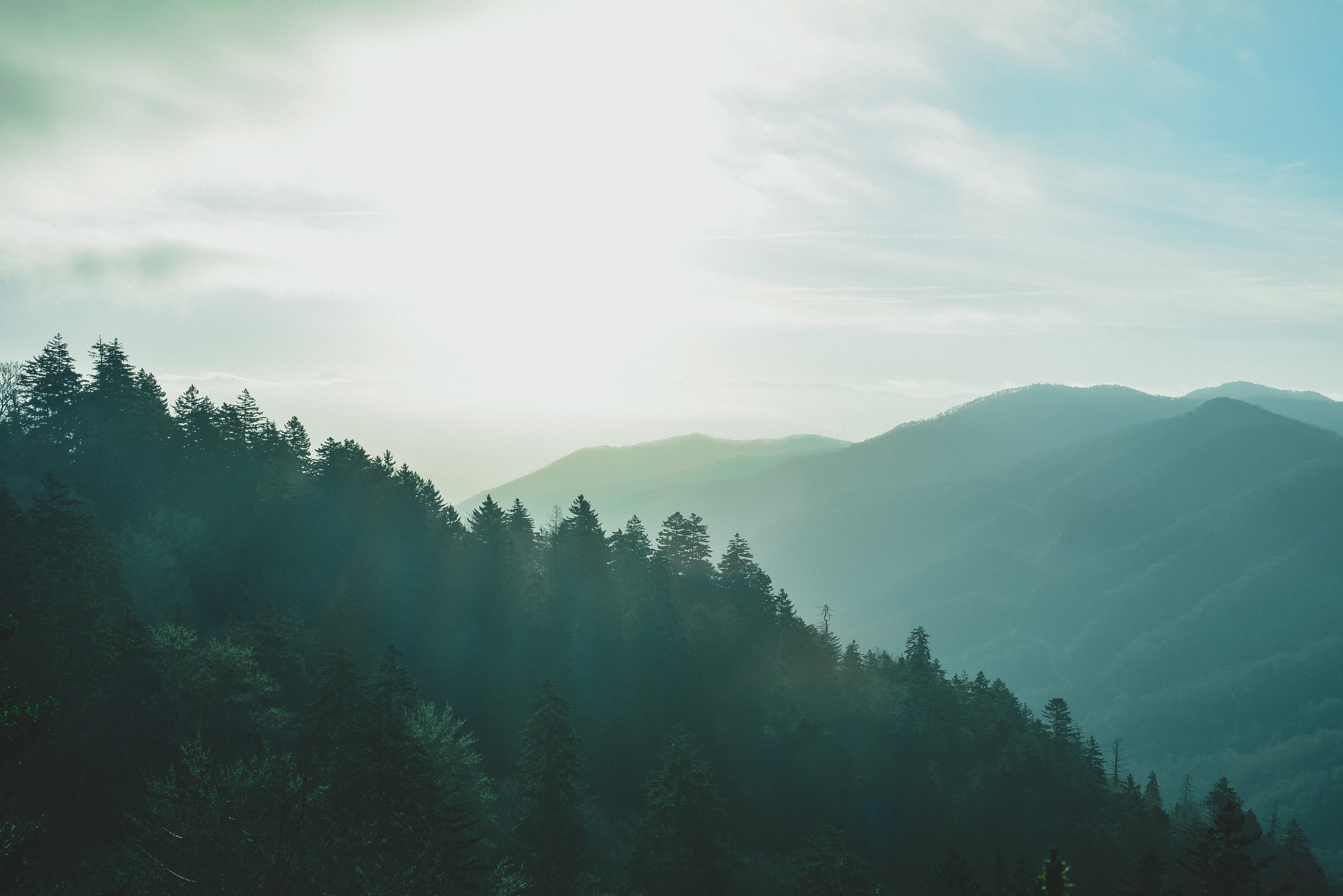 Descarga gratis la imagen Cielo, Bosque, Niebla, Naturaleza, Montañas en el escritorio de tu PC