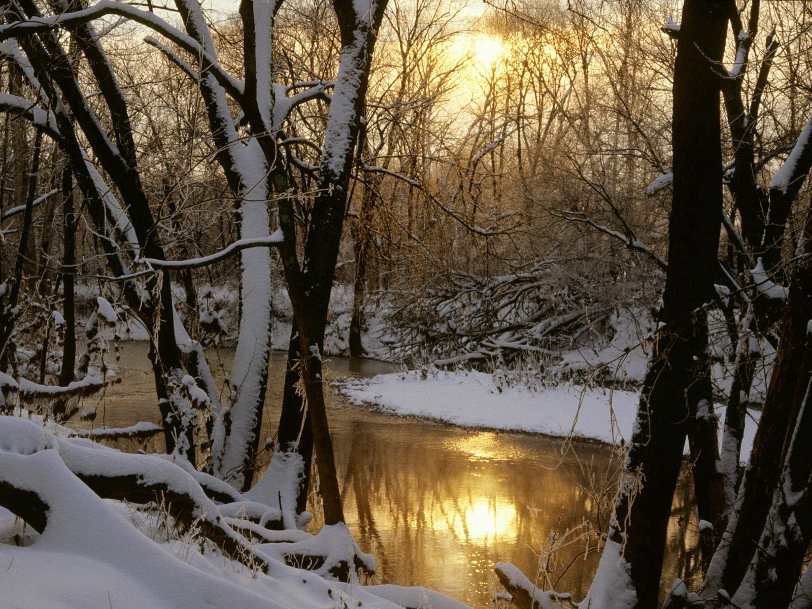 Скачать картинку Река, Природа, Лес, Отражение, Солнце, Зима в телефон бесплатно.