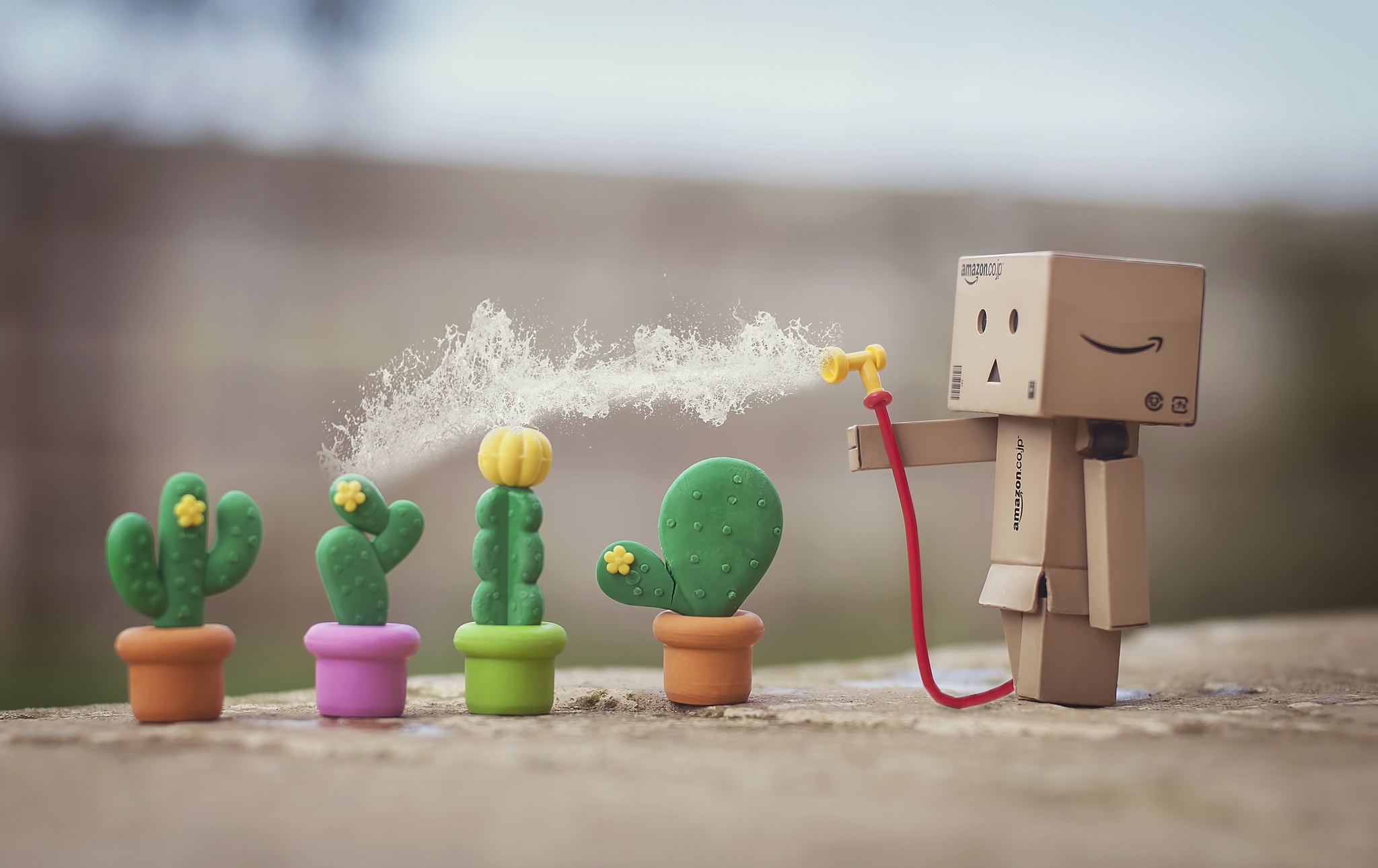 Laden Sie das Verschiedenes, Kaktus, Danbo-Bild kostenlos auf Ihren PC-Desktop herunter