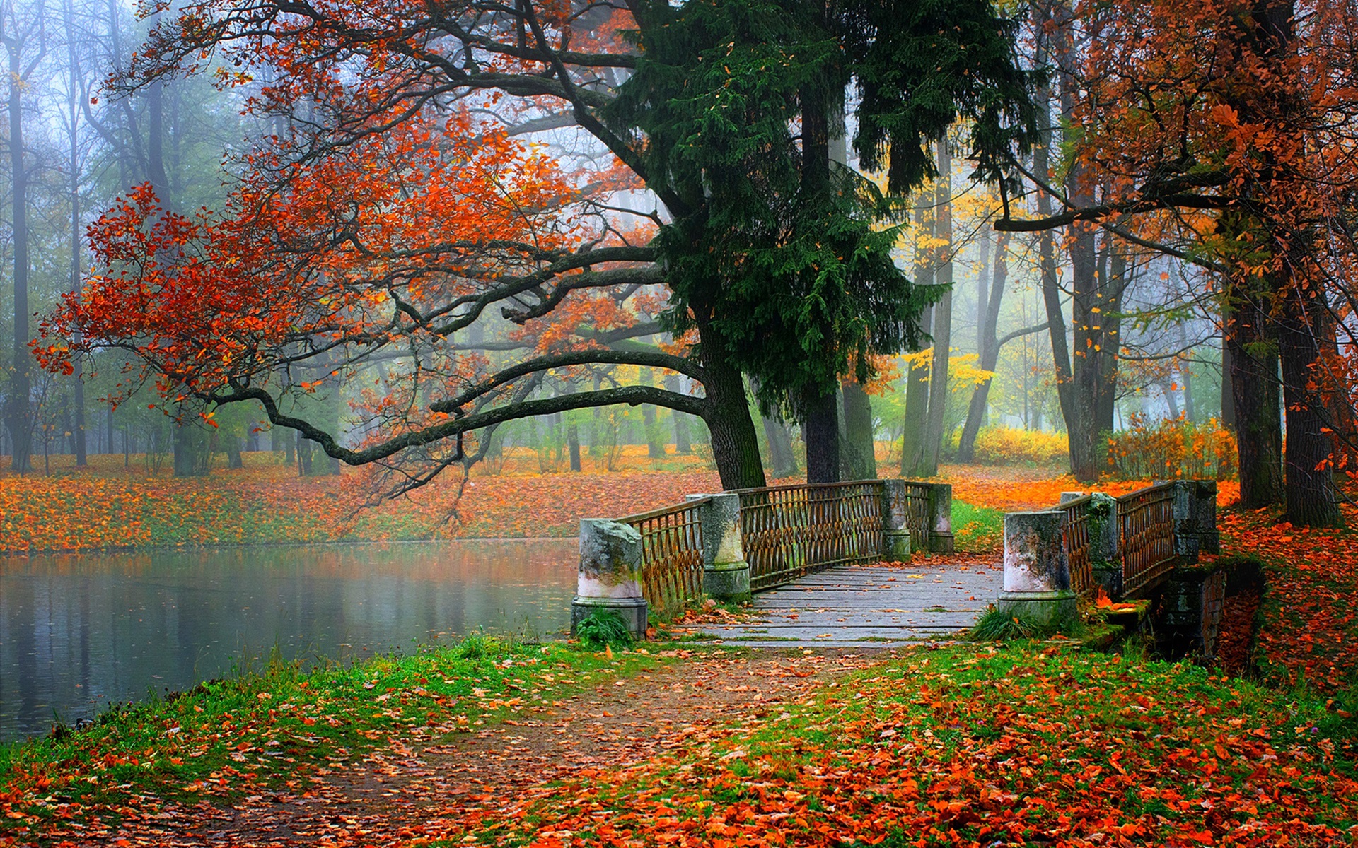 Скачать картинку Осень, Парк, Дерево, Мост, Фотографии в телефон бесплатно.