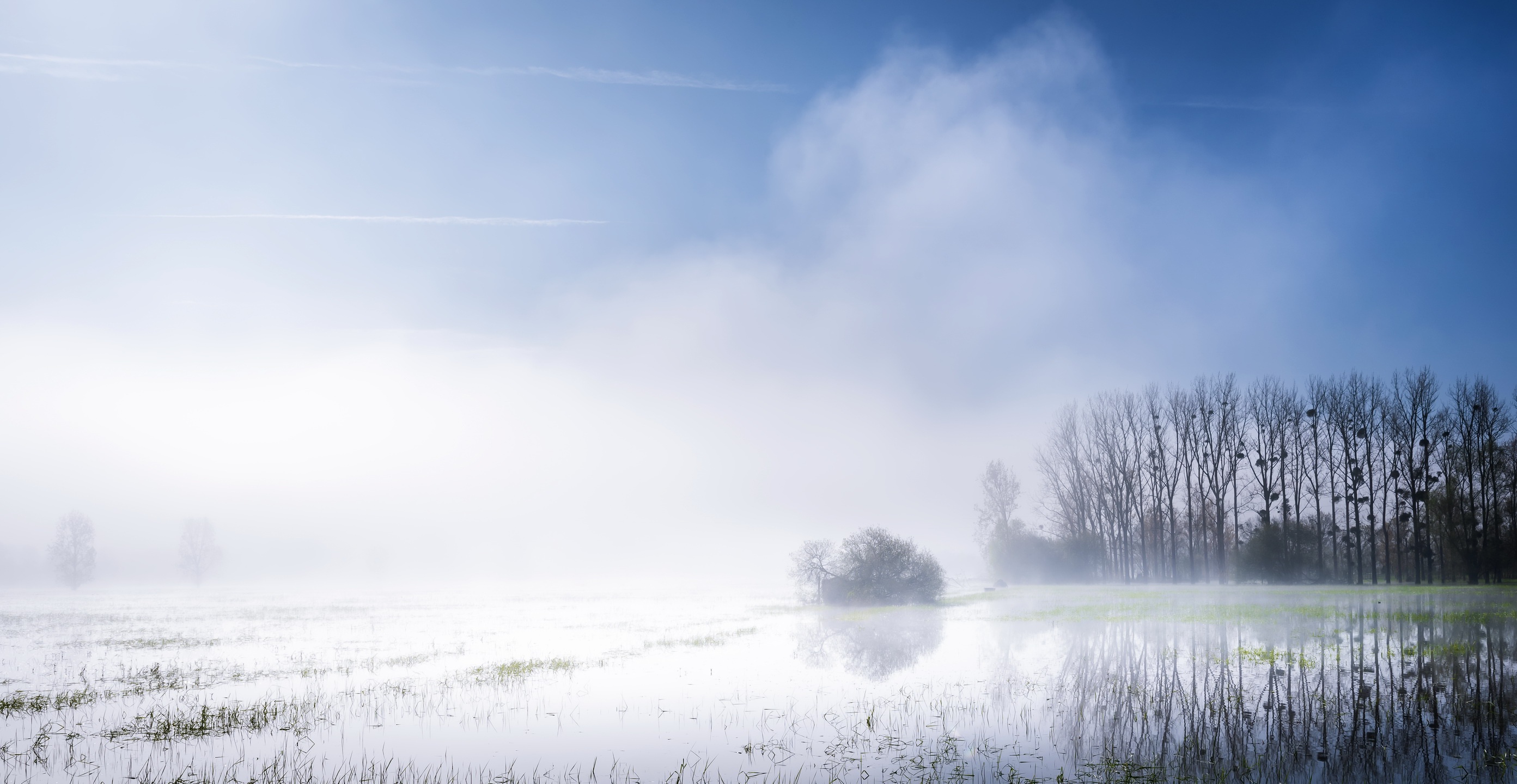 Laden Sie das Natur, Nebel, Erde/natur, Moor-Bild kostenlos auf Ihren PC-Desktop herunter