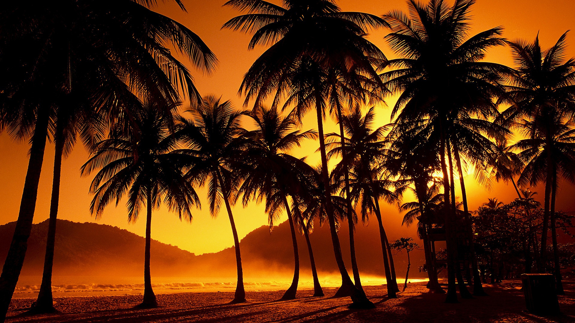 Скачать картинку Закат Солнца, Пальмы, Тропики, Земля/природа в телефон бесплатно.