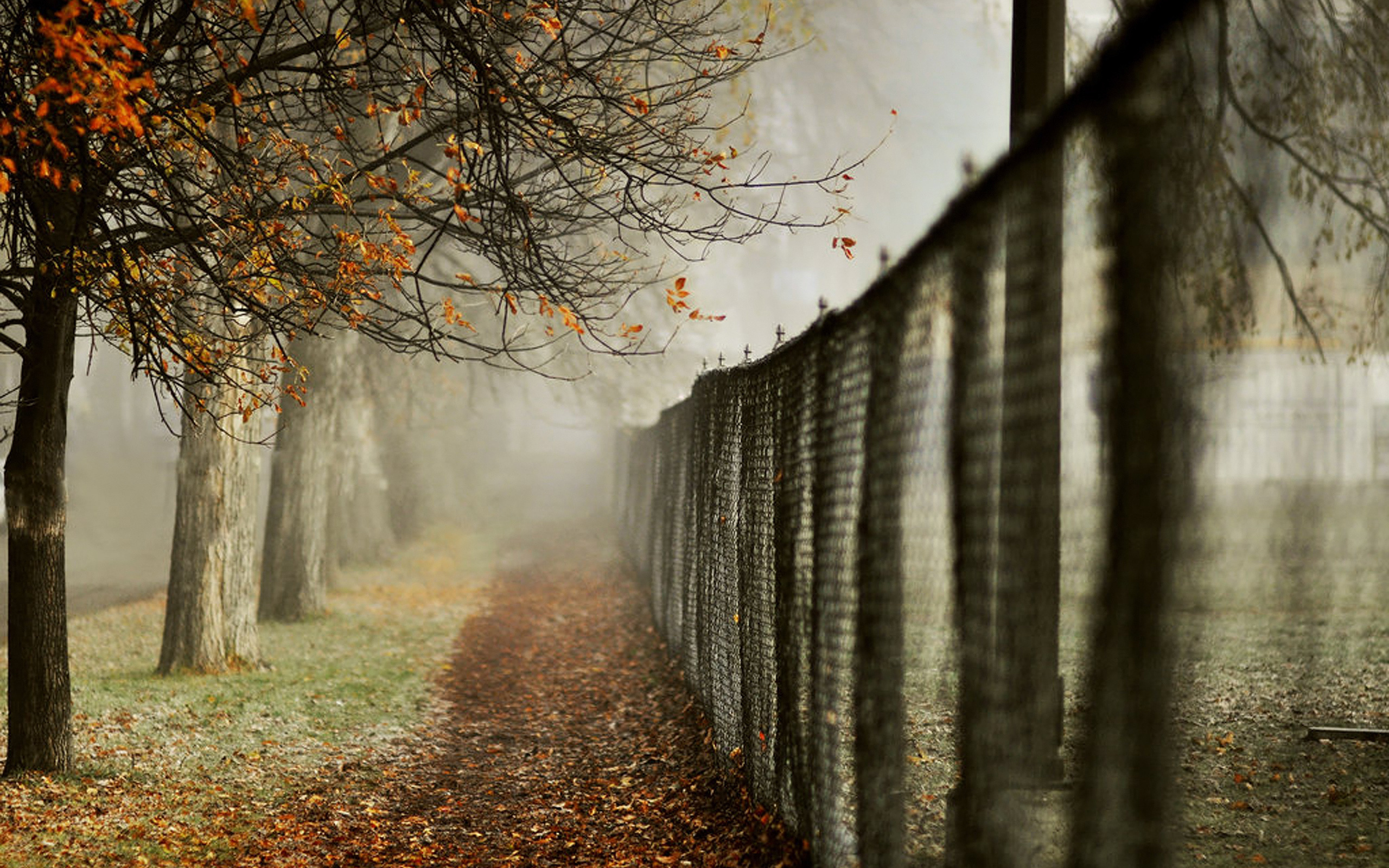 Free download wallpaper Fence, Man Made on your PC desktop