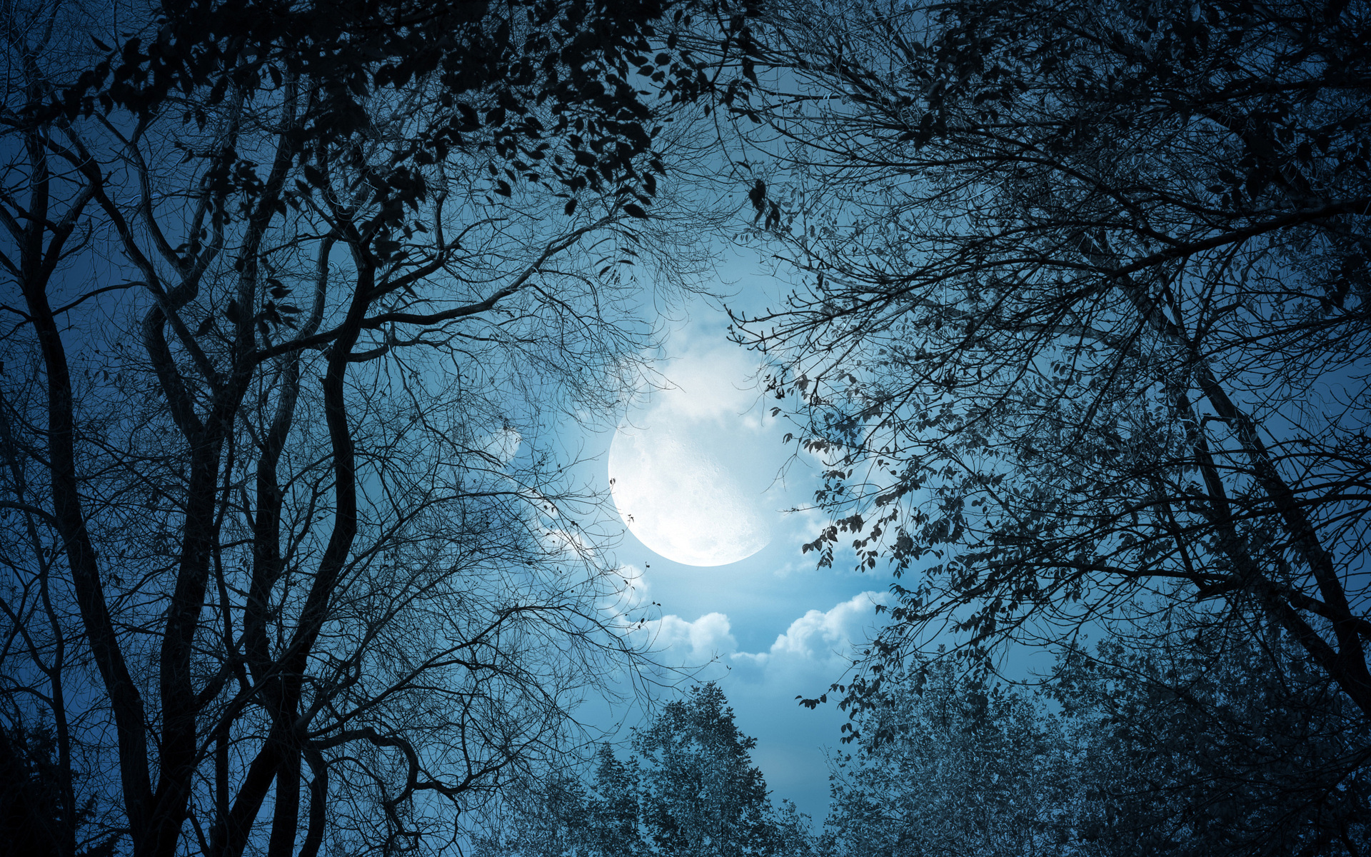 Download mobile wallpaper Manipulation, Fantasy, Photography, Moon, Night for free.