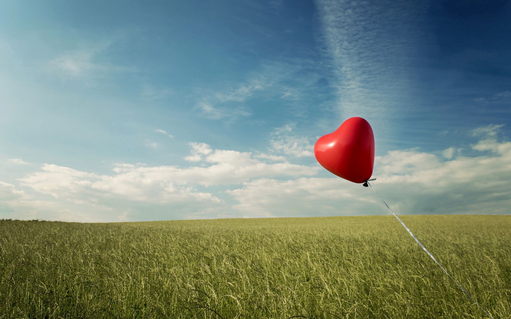 love, grass, field, balloon, wind