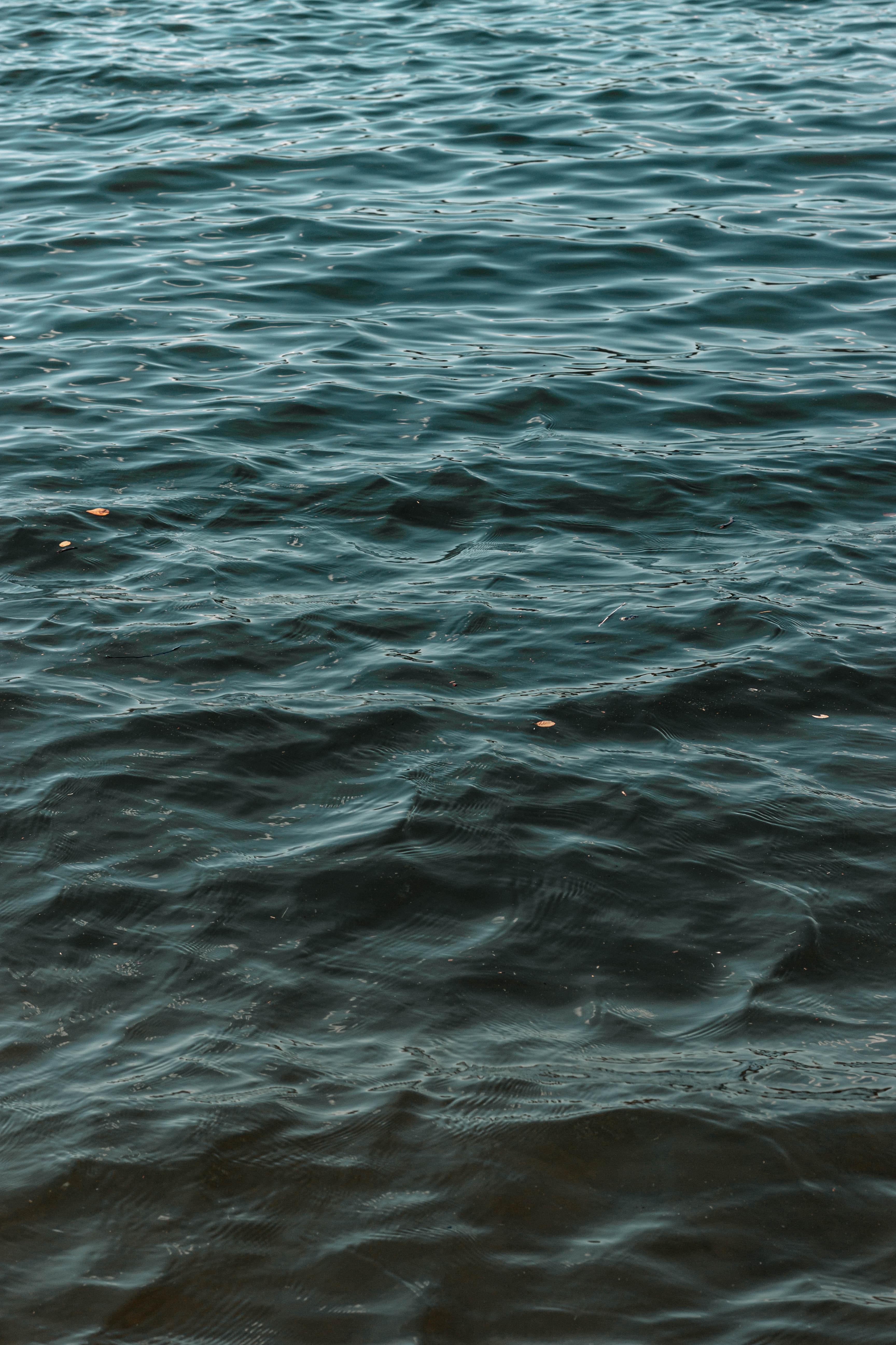 ripple, nature, water, waves, ripples, wavy wallpapers for tablet