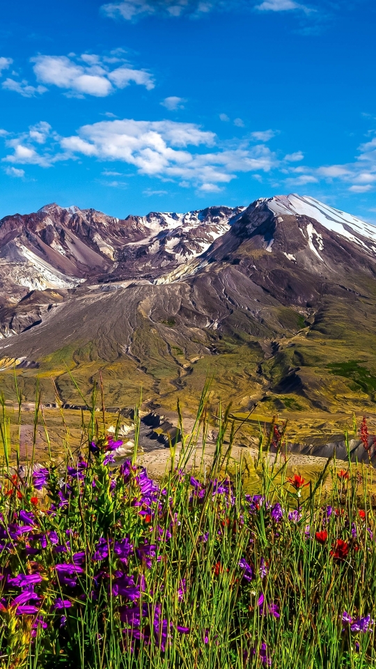 Download mobile wallpaper Earth, Mount St Helens for free.