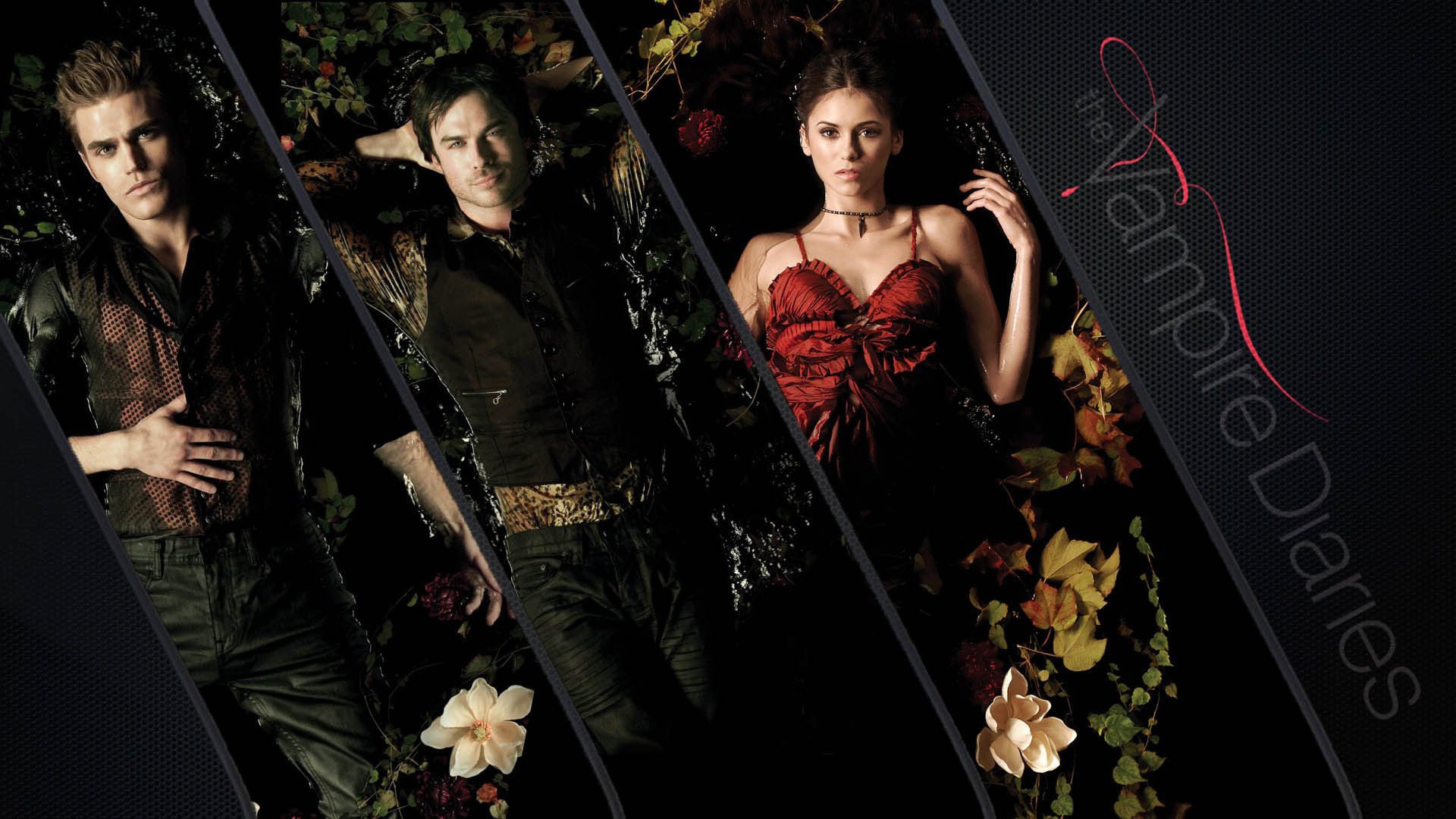 PC Wallpapers  The Vampire Diaries