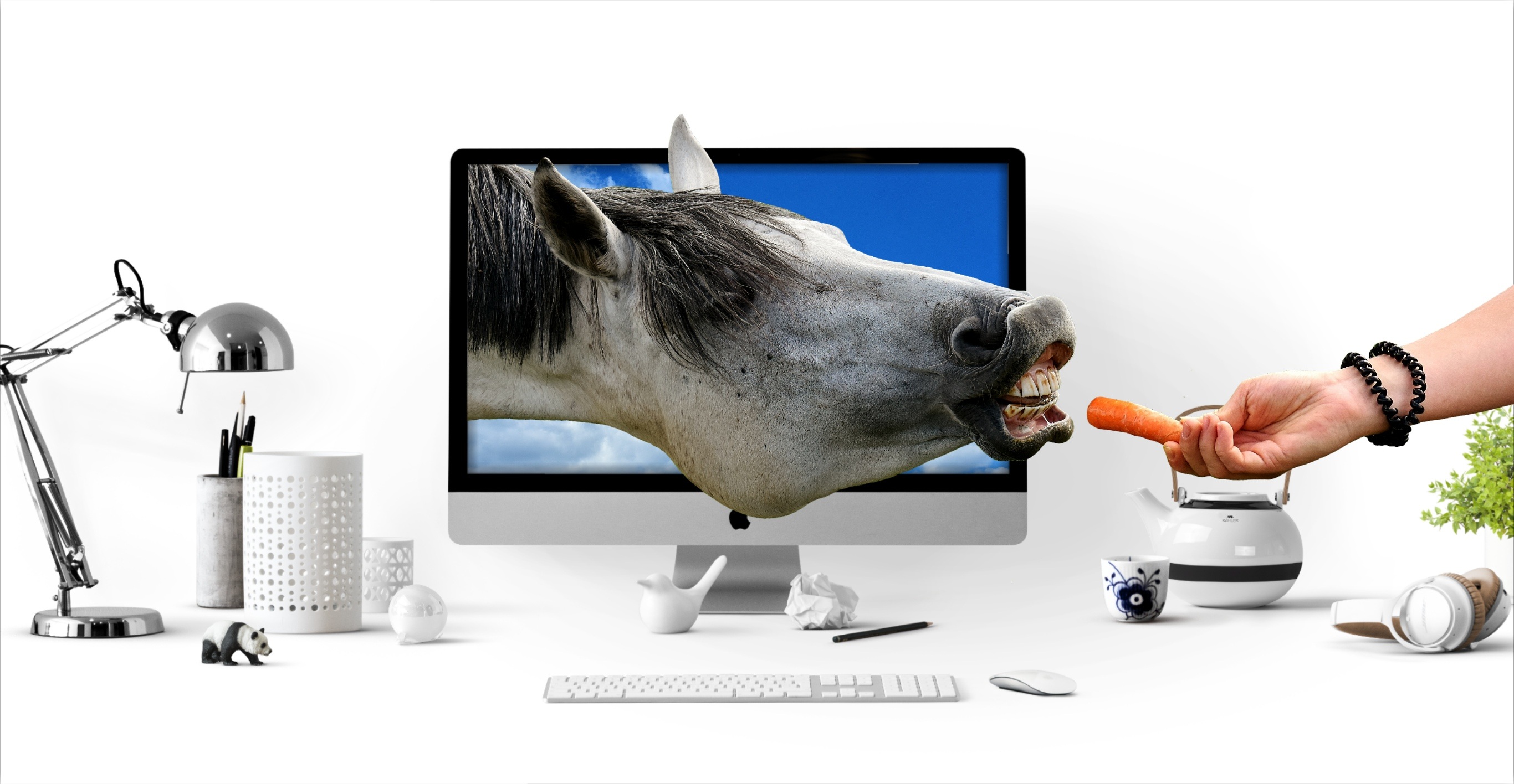 PCデスクトップに馬, 写真撮影, コンピューター, 操作画像を無料でダウンロード