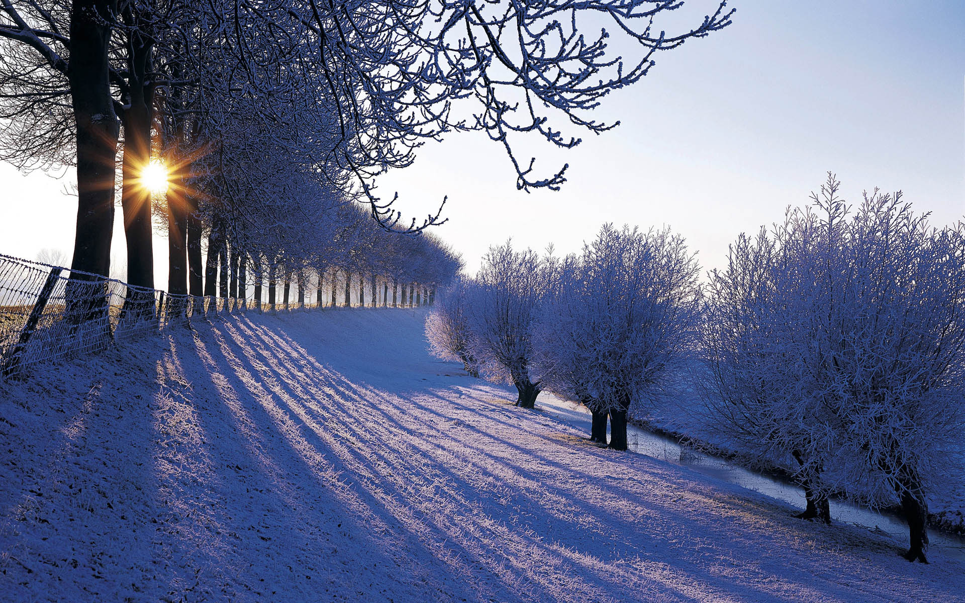 Free download wallpaper Winter, Earth on your PC desktop