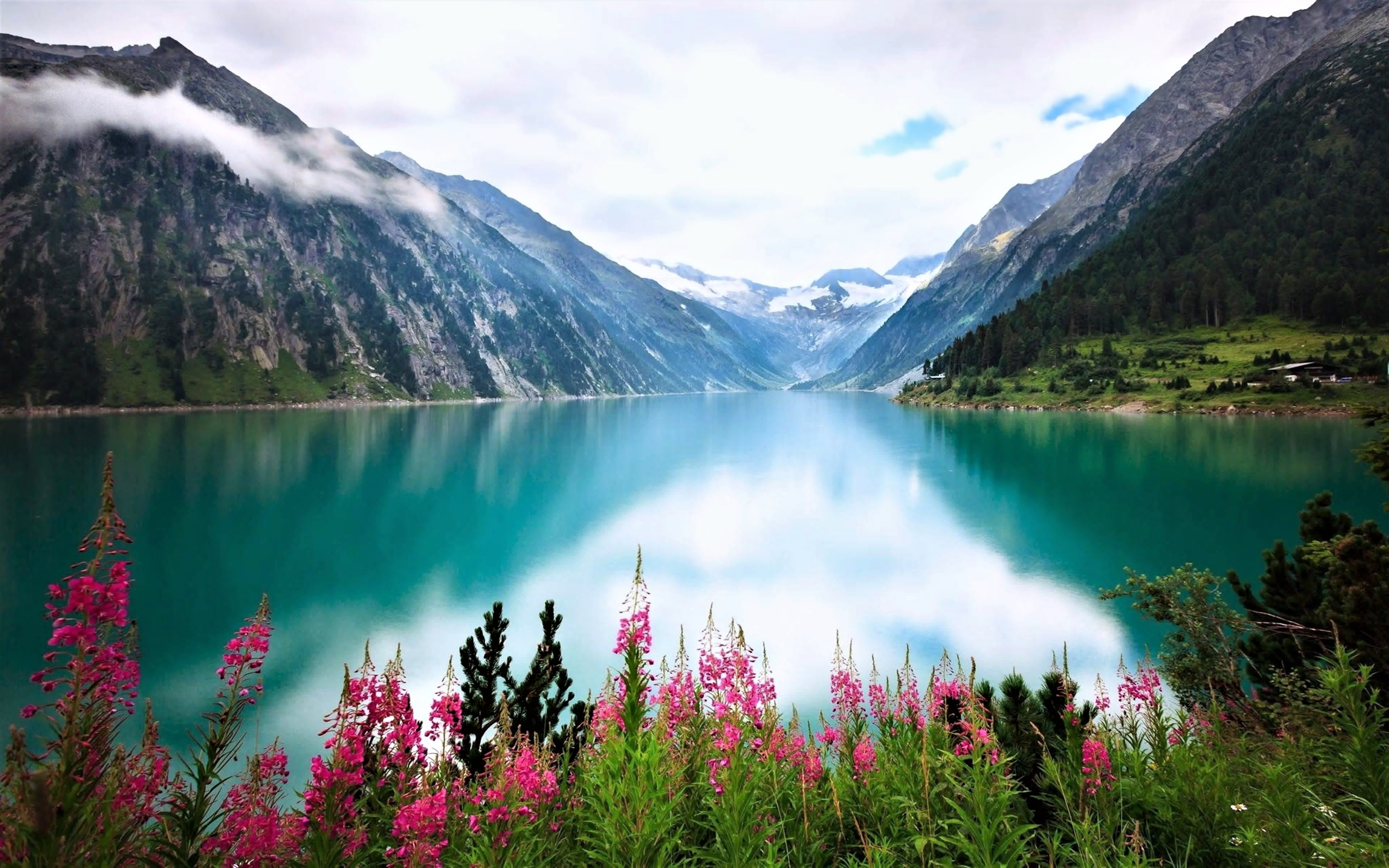 Free download wallpaper Mountain, Lake, Flower, Earth on your PC desktop