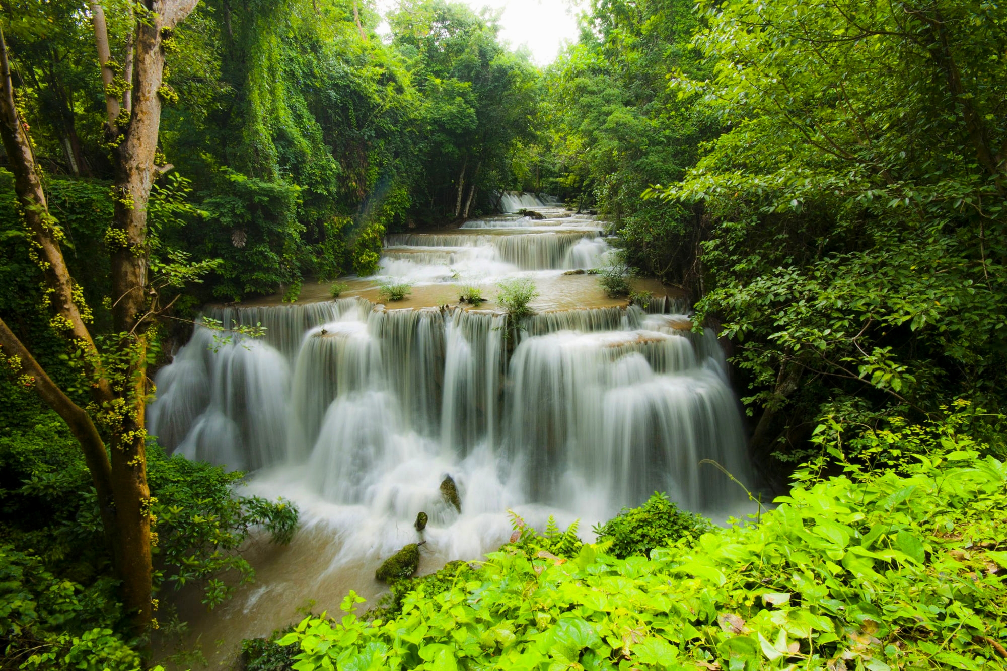 Baixe gratuitamente a imagem Cachoeiras, Floresta, Árvore, Terra/natureza, Cachoeira na área de trabalho do seu PC