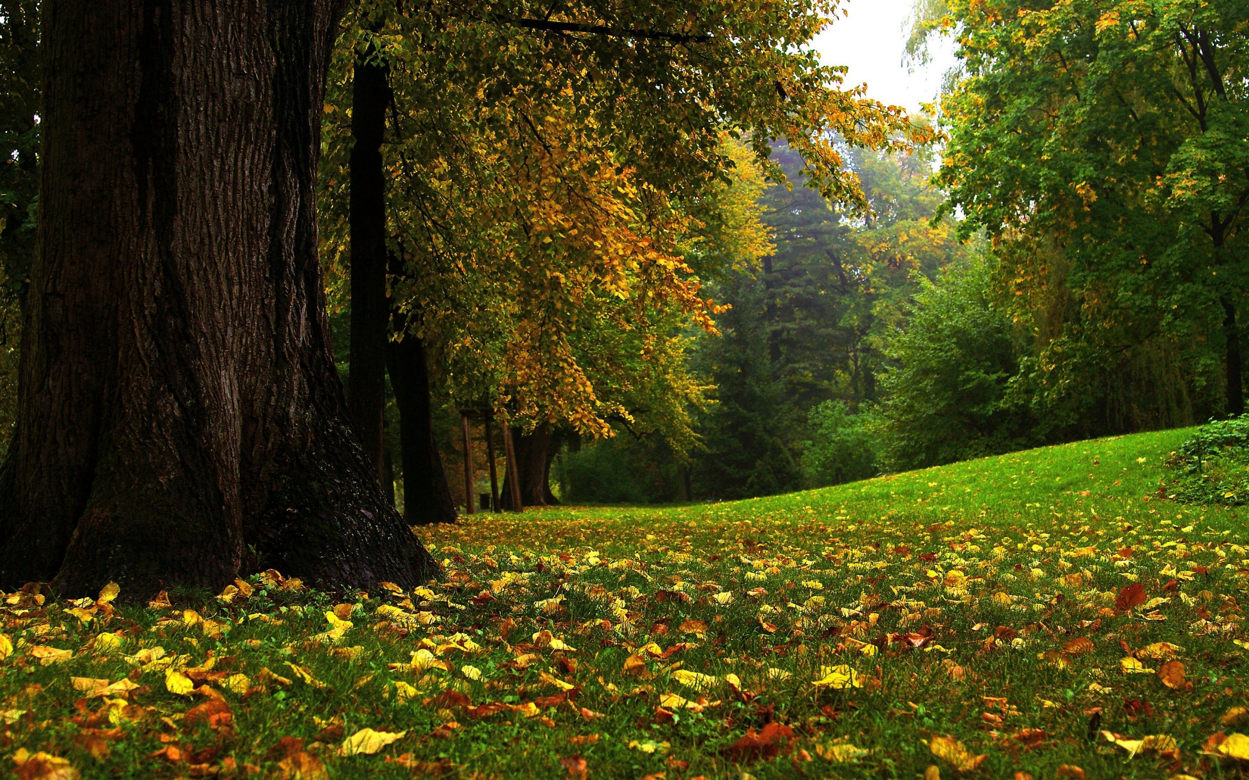Laden Sie das Landschaft, Herbst-Bild kostenlos auf Ihren PC-Desktop herunter