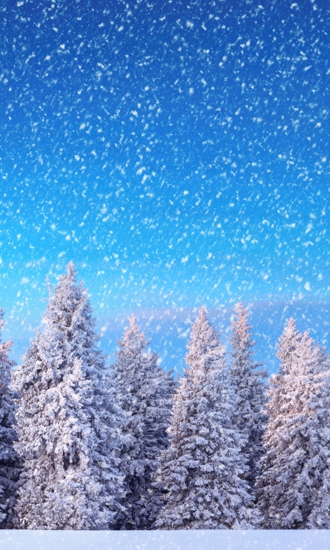 Скачать картинку Зима, Снег, Дерево, Сосна, Снегопад, Земля/природа в телефон бесплатно.