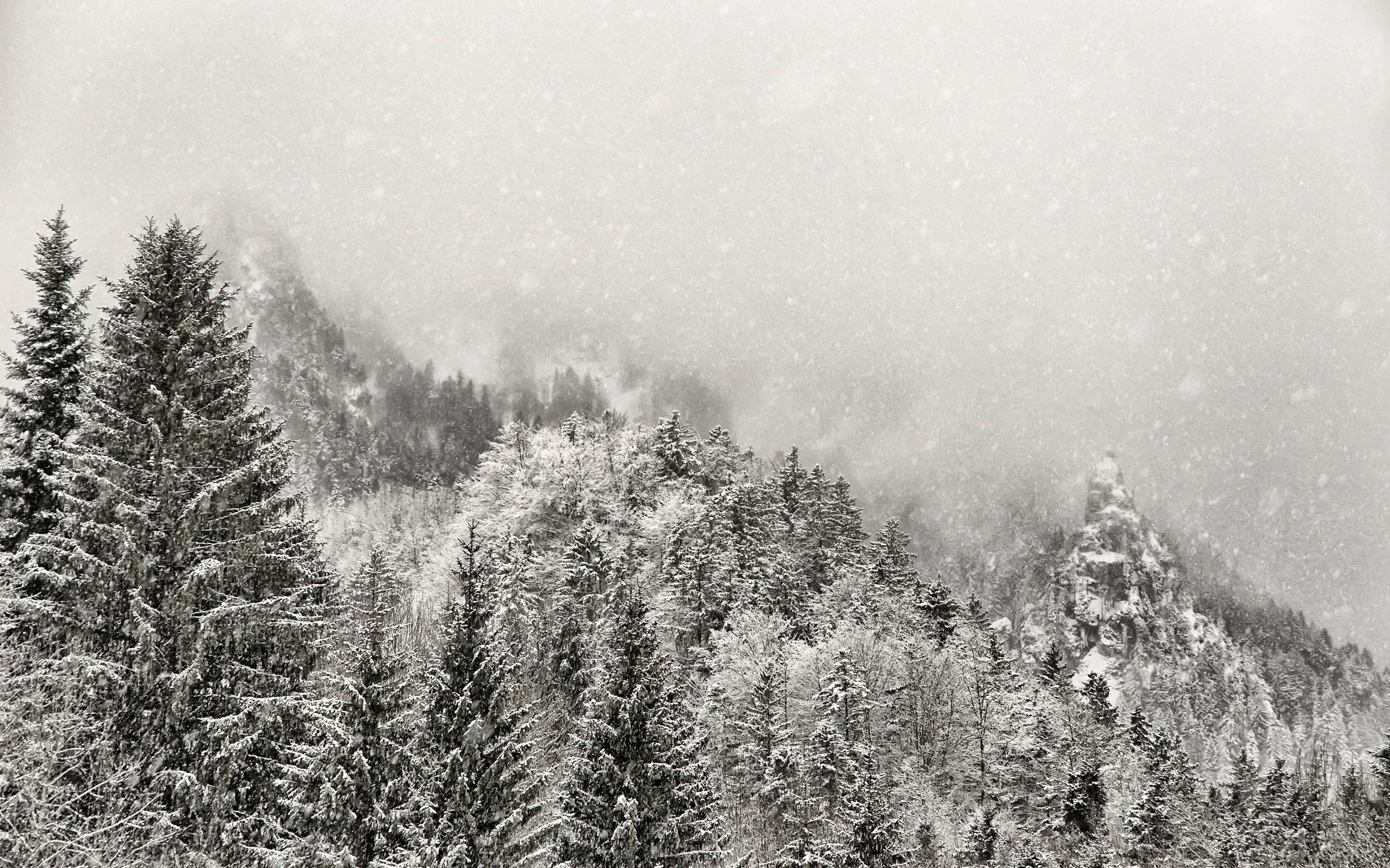 Baixar papel de parede para celular de Inverno, Terra/natureza gratuito.