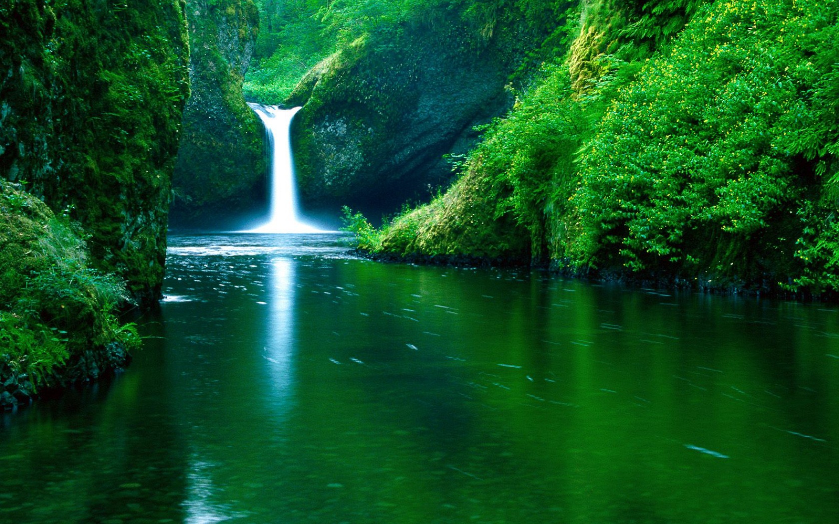 Скачать картинку Вода, Зеленый, Водопад, Водопады, Дерево, Земля/природа в телефон бесплатно.