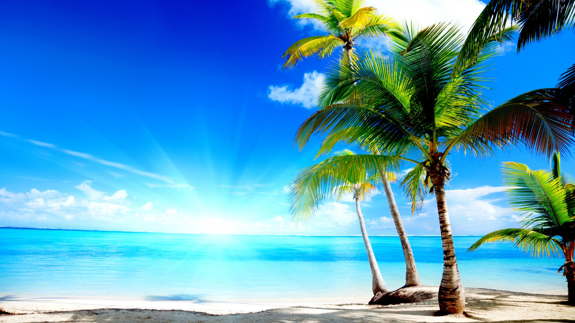 Download mobile wallpaper Sea, Beach, Earth, Tropical for free.