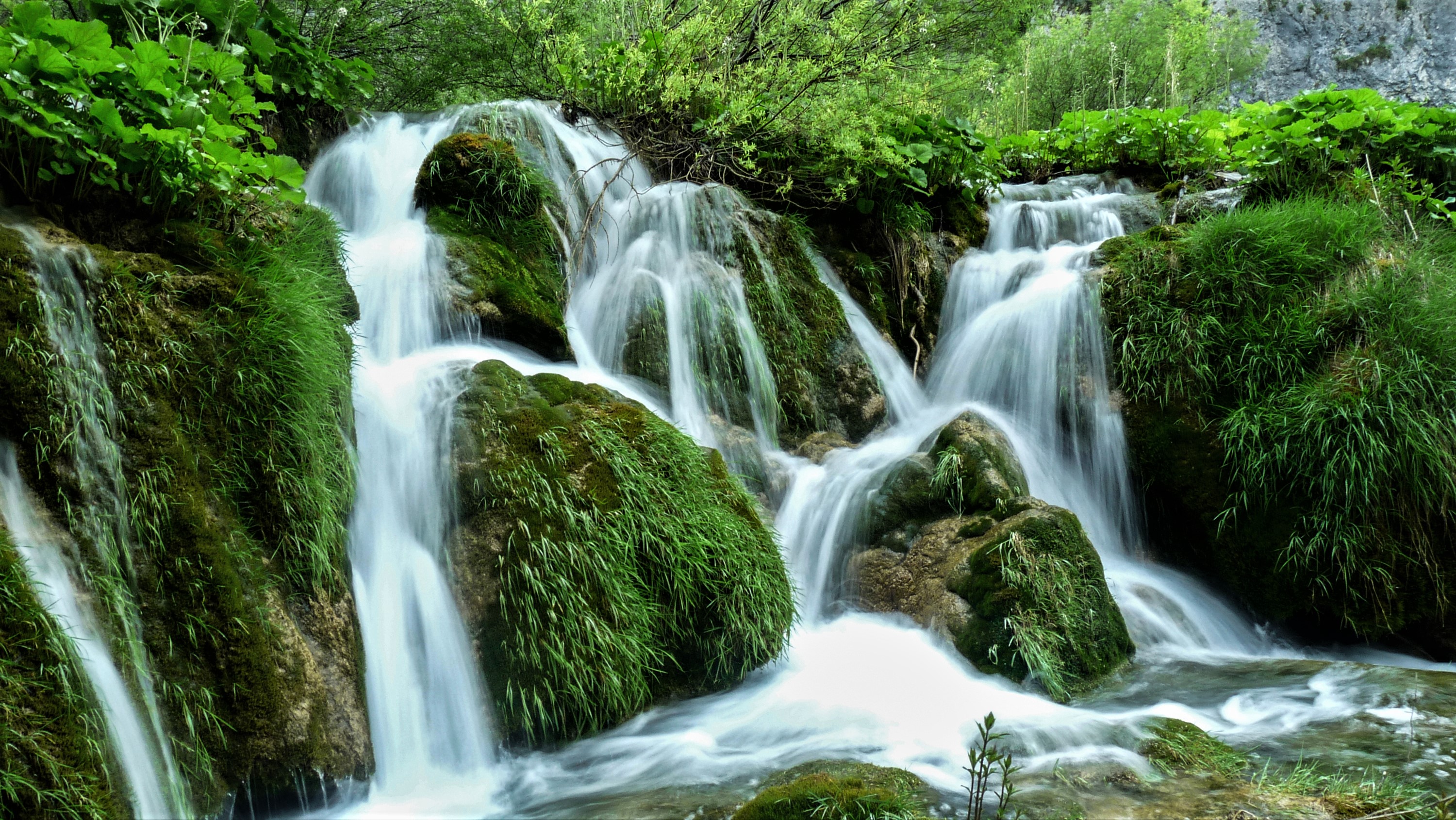 Скачать картинку Водопады, Водопад, Зеленый, Мох, Земля/природа в телефон бесплатно.