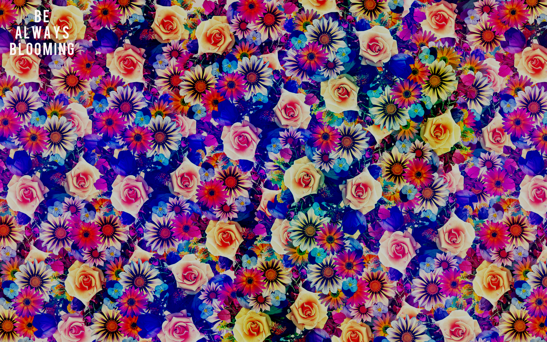 Descarga gratuita de fondo de pantalla para móvil de Flores, Flor, Colores, Vistoso, Artístico.