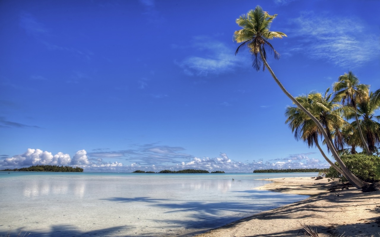 Download mobile wallpaper Landscape, Palms, Beach for free.