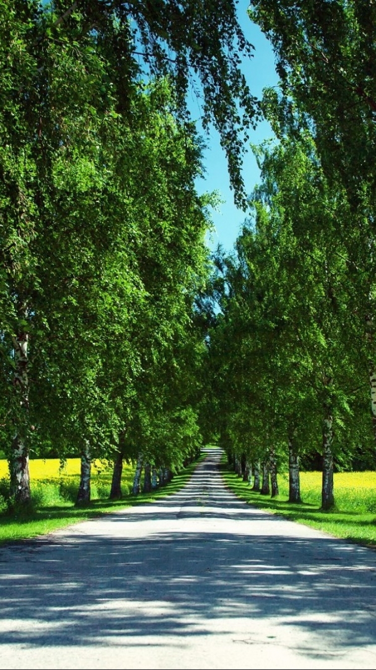 Download mobile wallpaper Summer, Road, Tree, Alley, Path, Man Made for free.