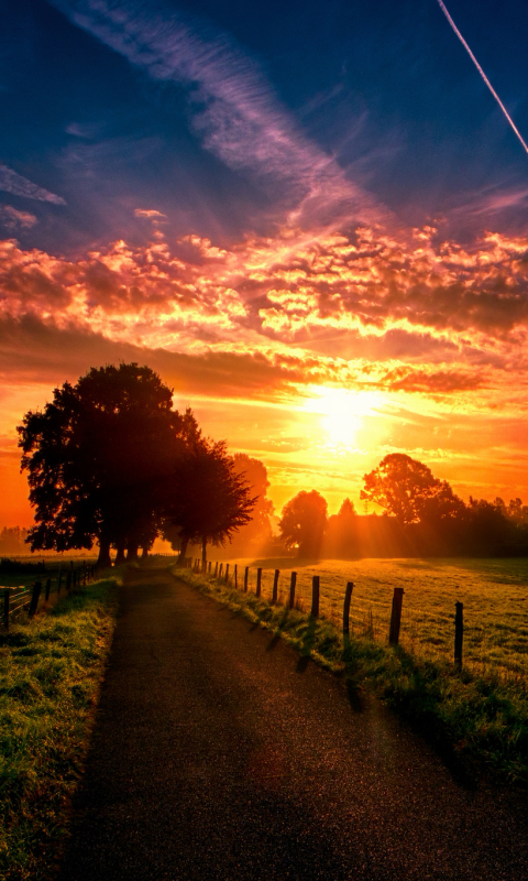Download mobile wallpaper Nature, Grass, Sky, Sun, Road, Sunrise, Earth, Cloud for free.