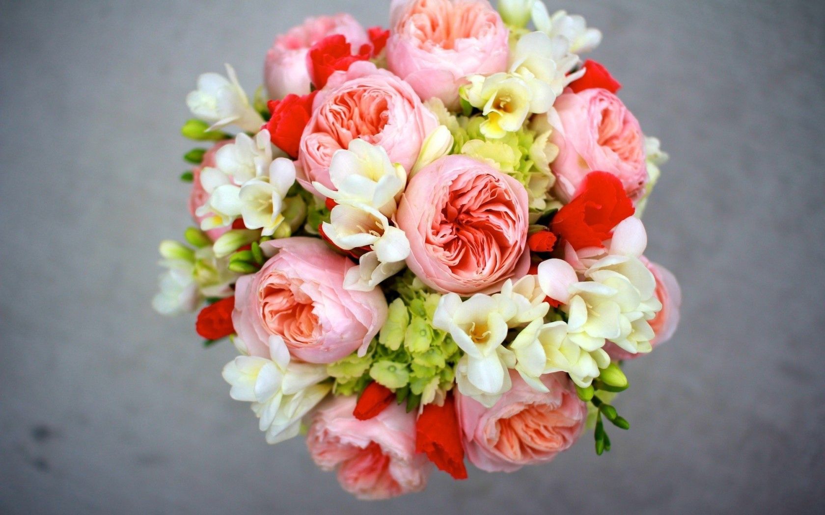 peonies, flowers, bouquet, composition, hydrangea, freesia, freesias