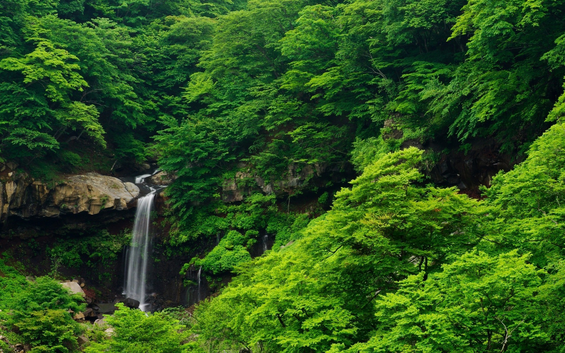 Laden Sie das Wasserfall, Wald, Erde/natur-Bild kostenlos auf Ihren PC-Desktop herunter