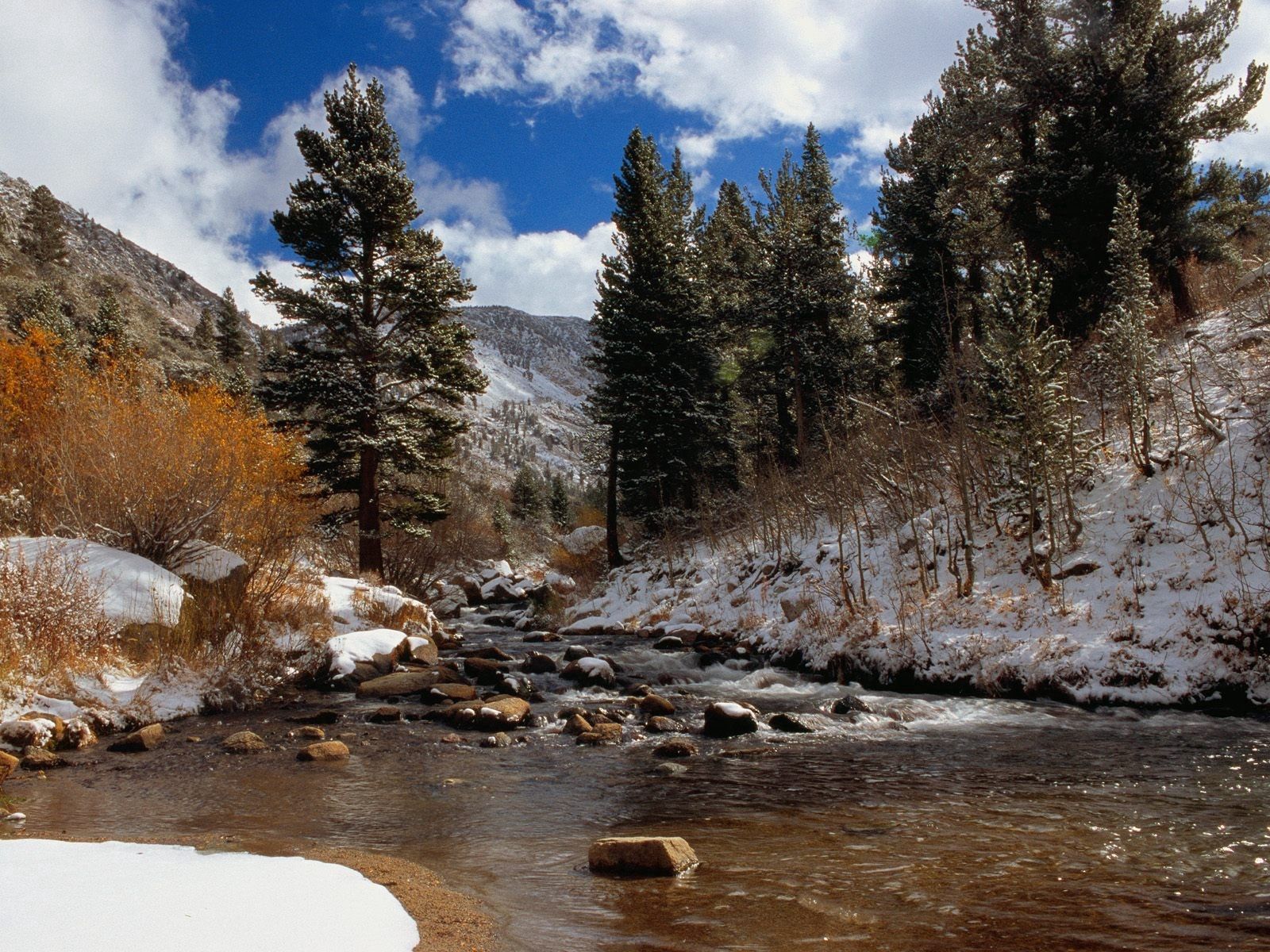 133365 скачать обои горная река, калифорния, деревья, природа, камни, течение - заставки и картинки бесплатно