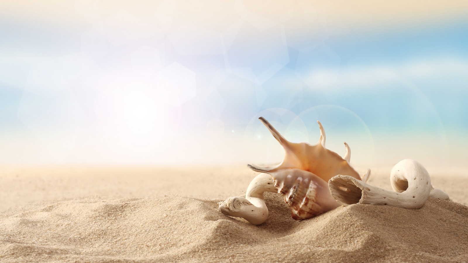 Free download wallpaper Background, Sand, Shells, Still Life on your PC desktop