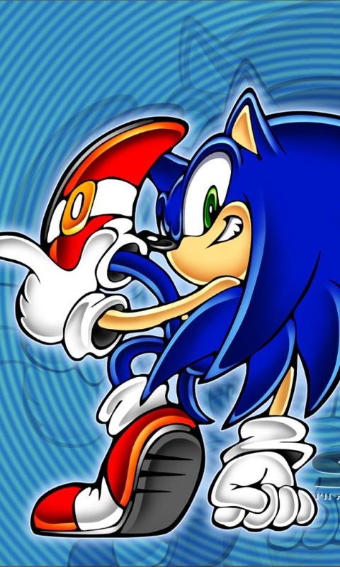 Handy-Wallpaper Computerspiele, Sonic, Sonikku Adobenchâ, Sonic The Hedgehog, Schall kostenlos herunterladen.