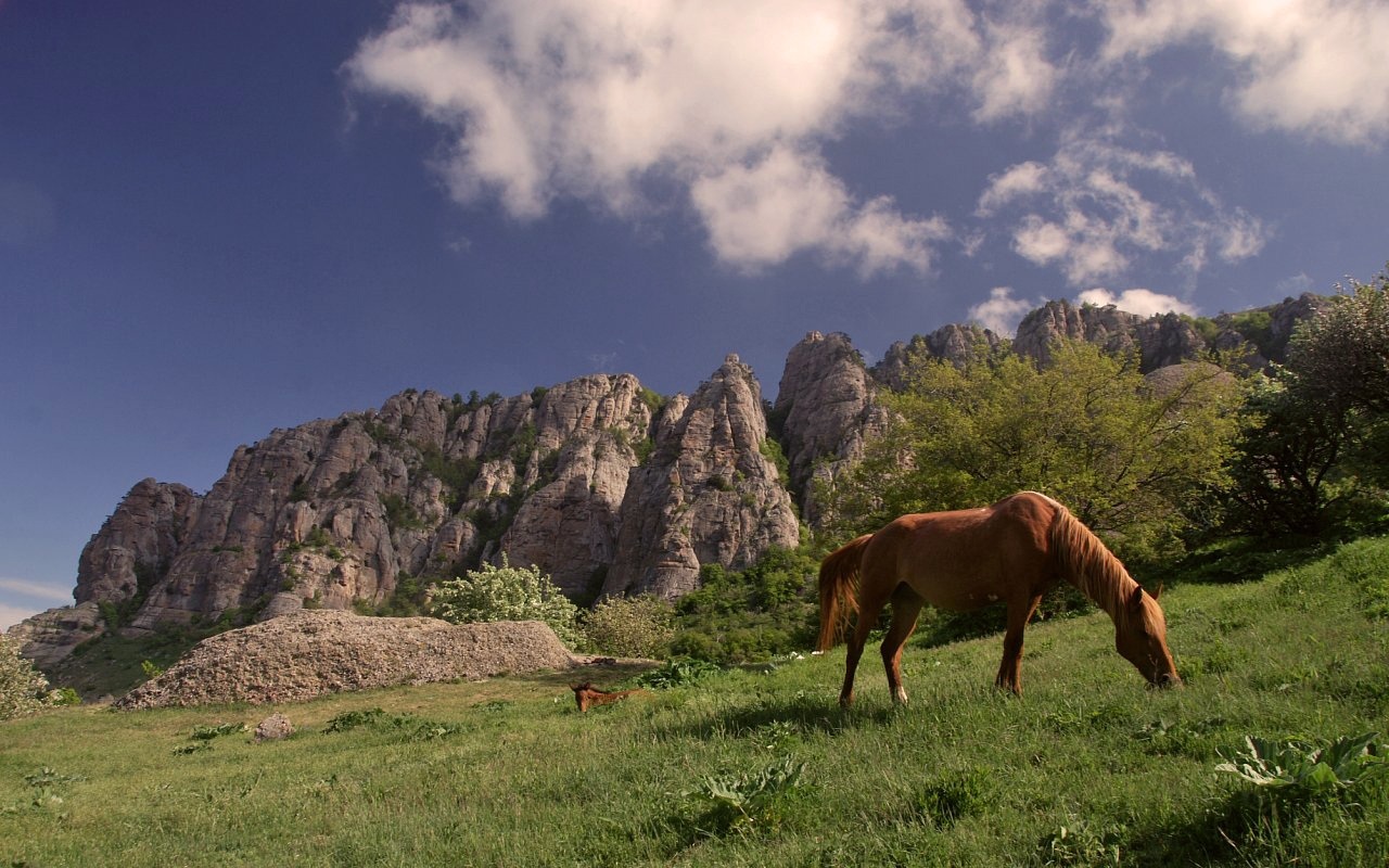 Descarga gratuita de fondo de pantalla para móvil de Naturaleza, Montañas, Paisaje.