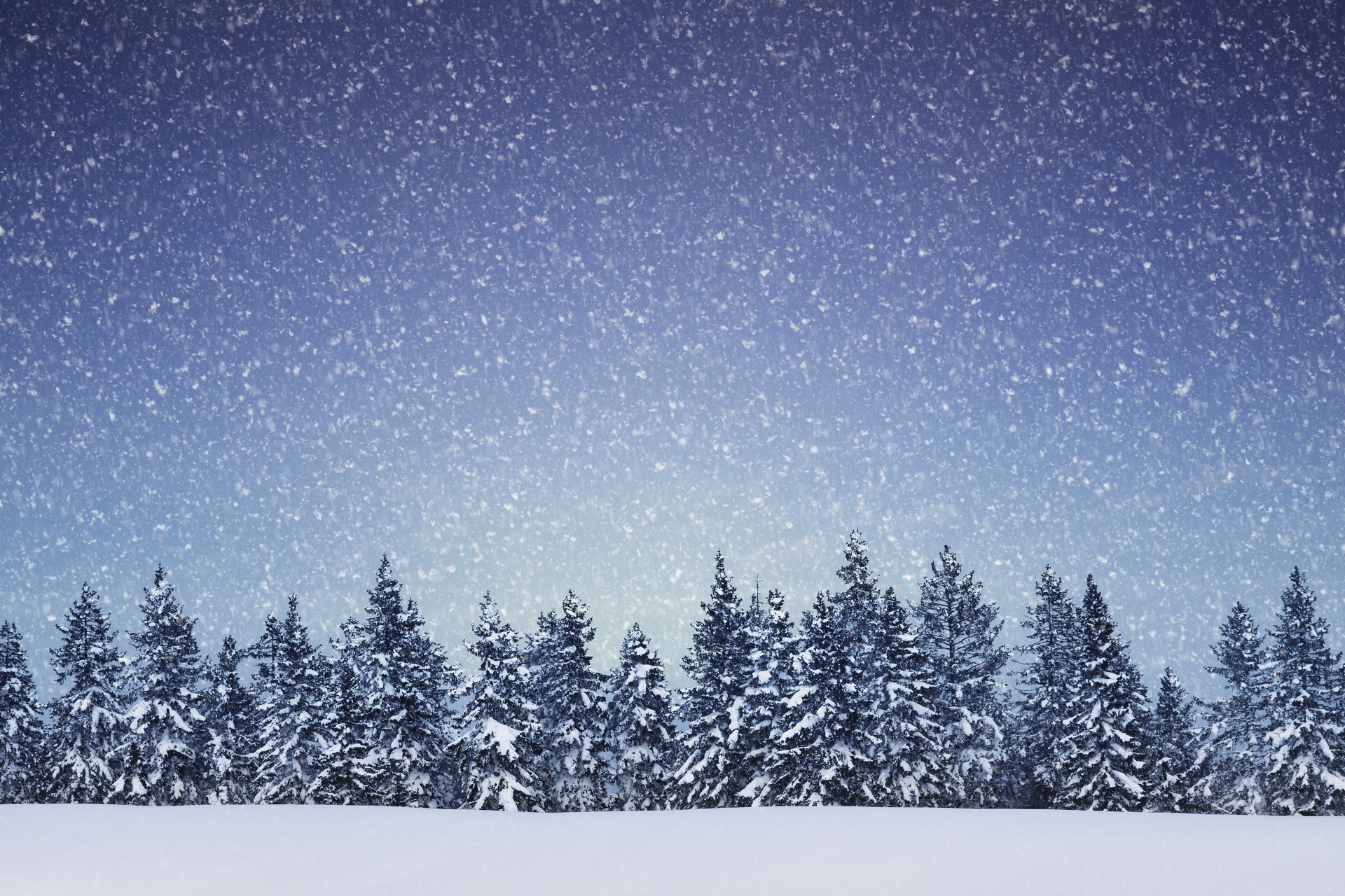 Скачати мобільні шпалери Зима, Природа, Сніг, Дерево, Земля, Снігопад безкоштовно.
