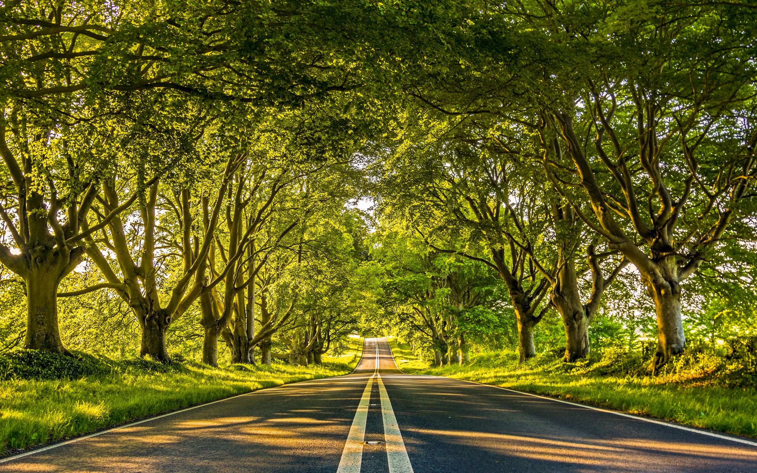 Baixar papel de parede para celular de Estrada, Feito Pelo Homem gratuito.