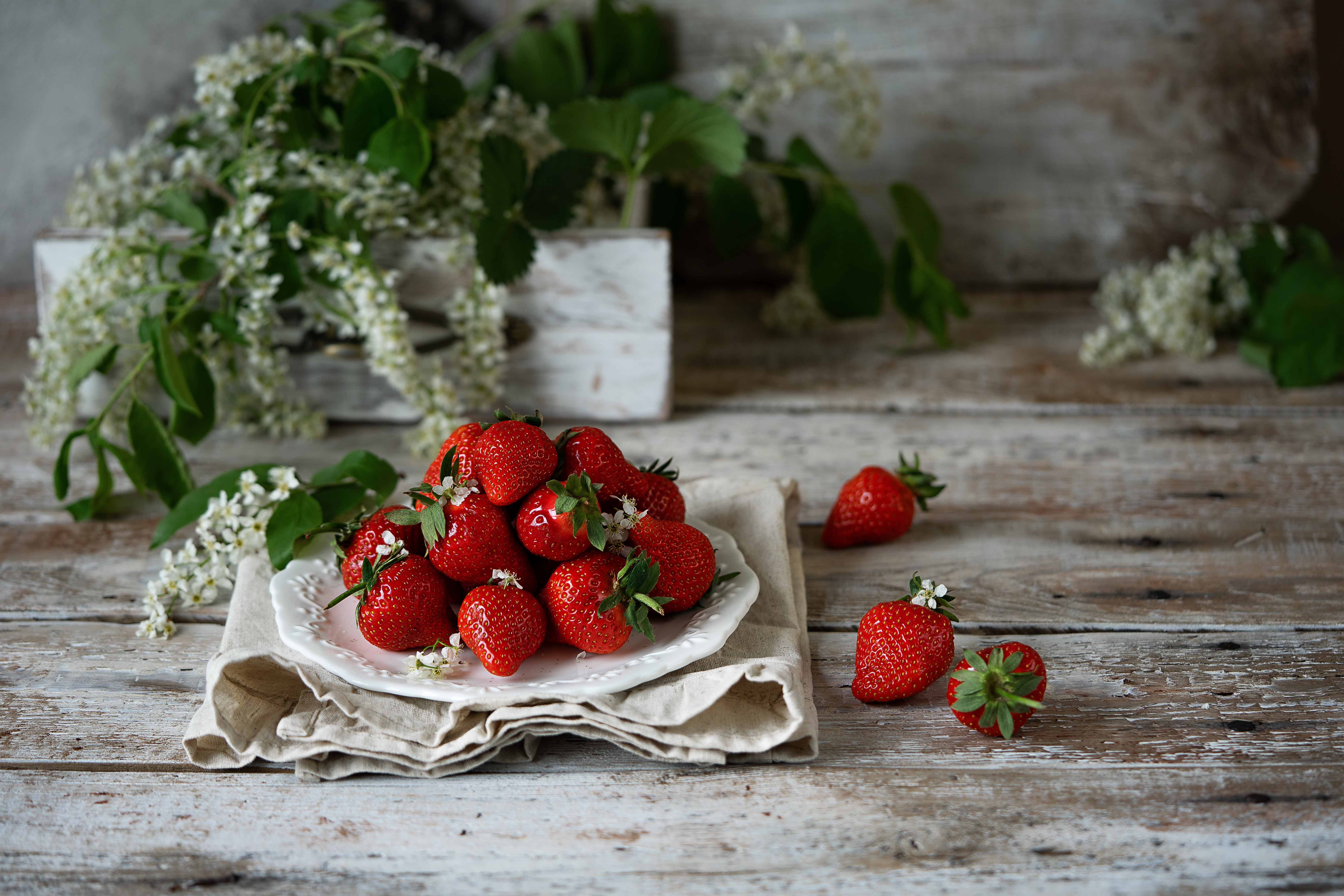 Laden Sie das Erdbeere, Frucht, Nahrungsmittel, Stillleben, Früchte-Bild kostenlos auf Ihren PC-Desktop herunter