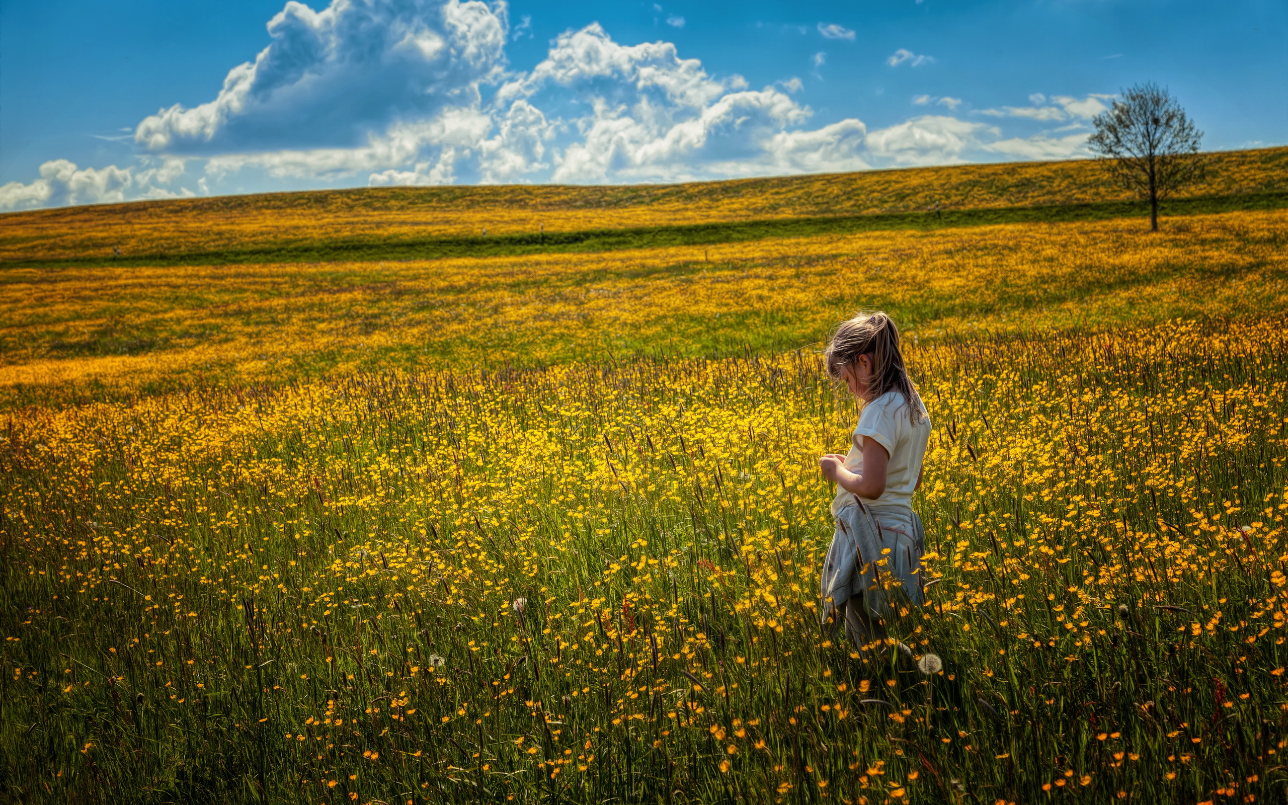 Descarga gratuita de fondo de pantalla para móvil de Niño, Fotografía.