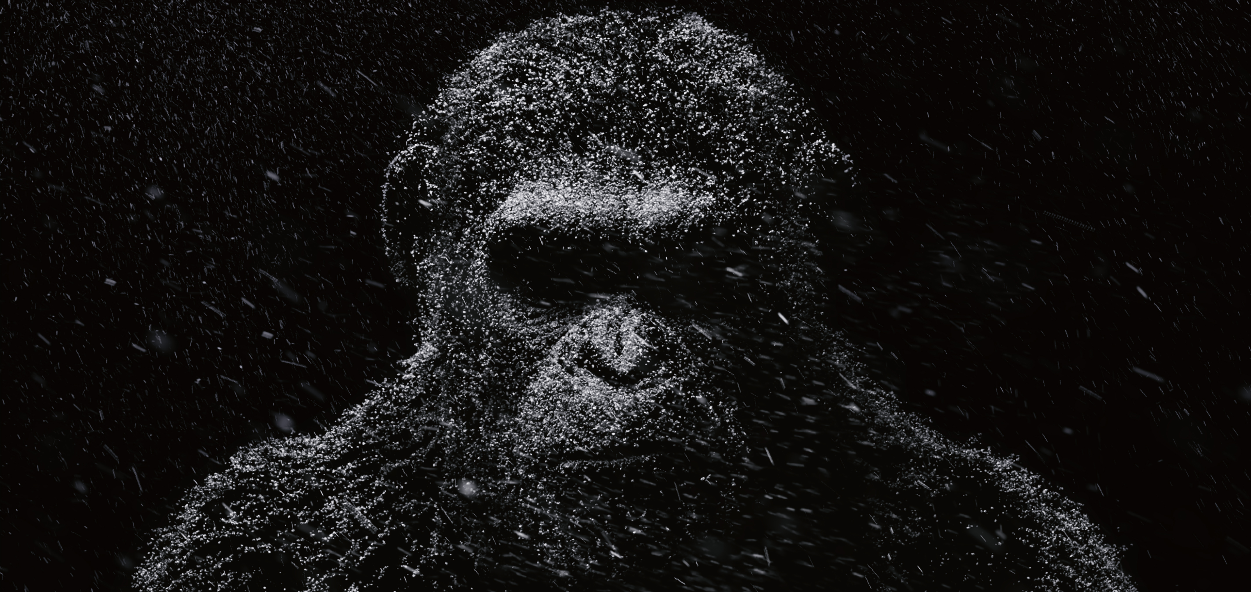 778445壁紙のダウンロード映画, 猿の惑星: 戦争-スクリーンセーバーと写真を無料で